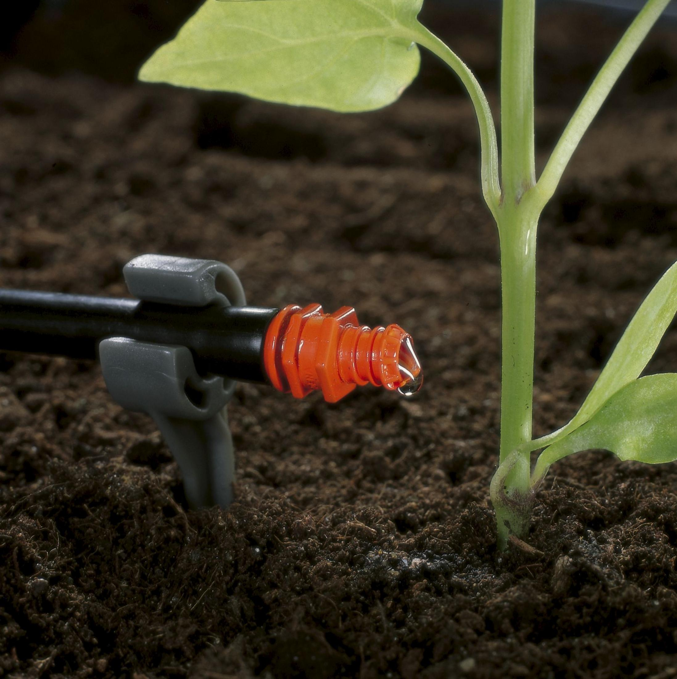 Irrigatiesysteem levert water aan een jonge plant in de grond.
