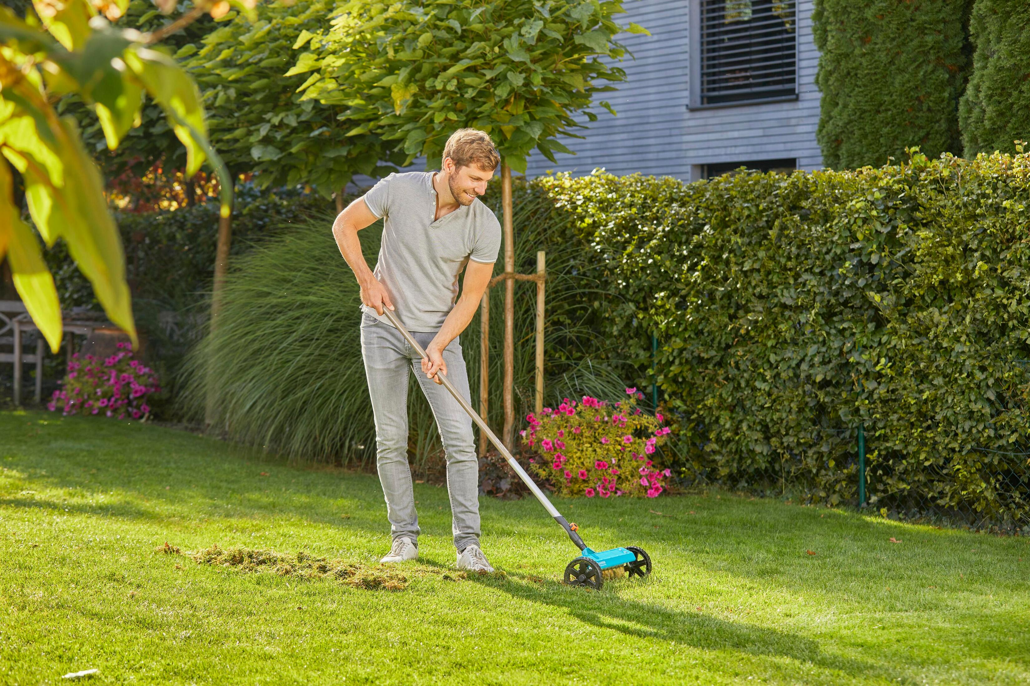 Man raking grass clippings on a green lawn with bushes and house in background.