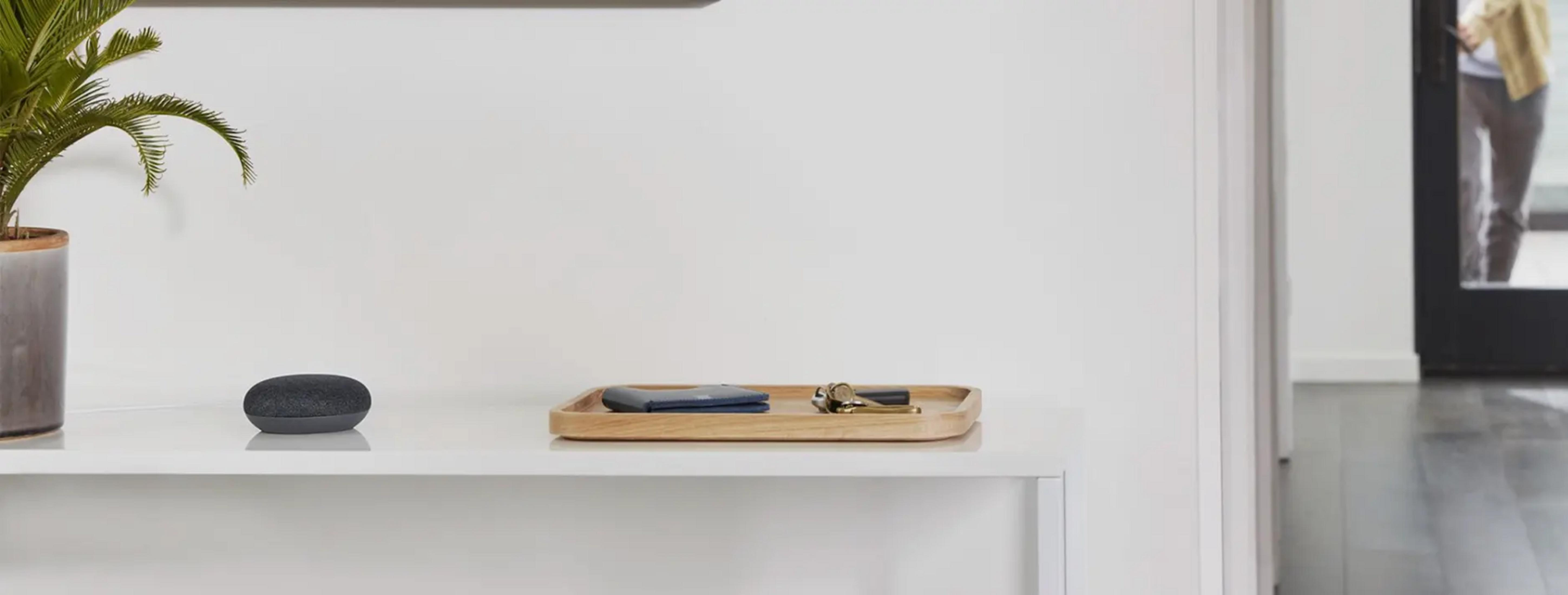 Un piccolo altoparlante grigio accanto a una pianta su uno scaffale. Chiavi e portafoglio in un vassoio di legno.