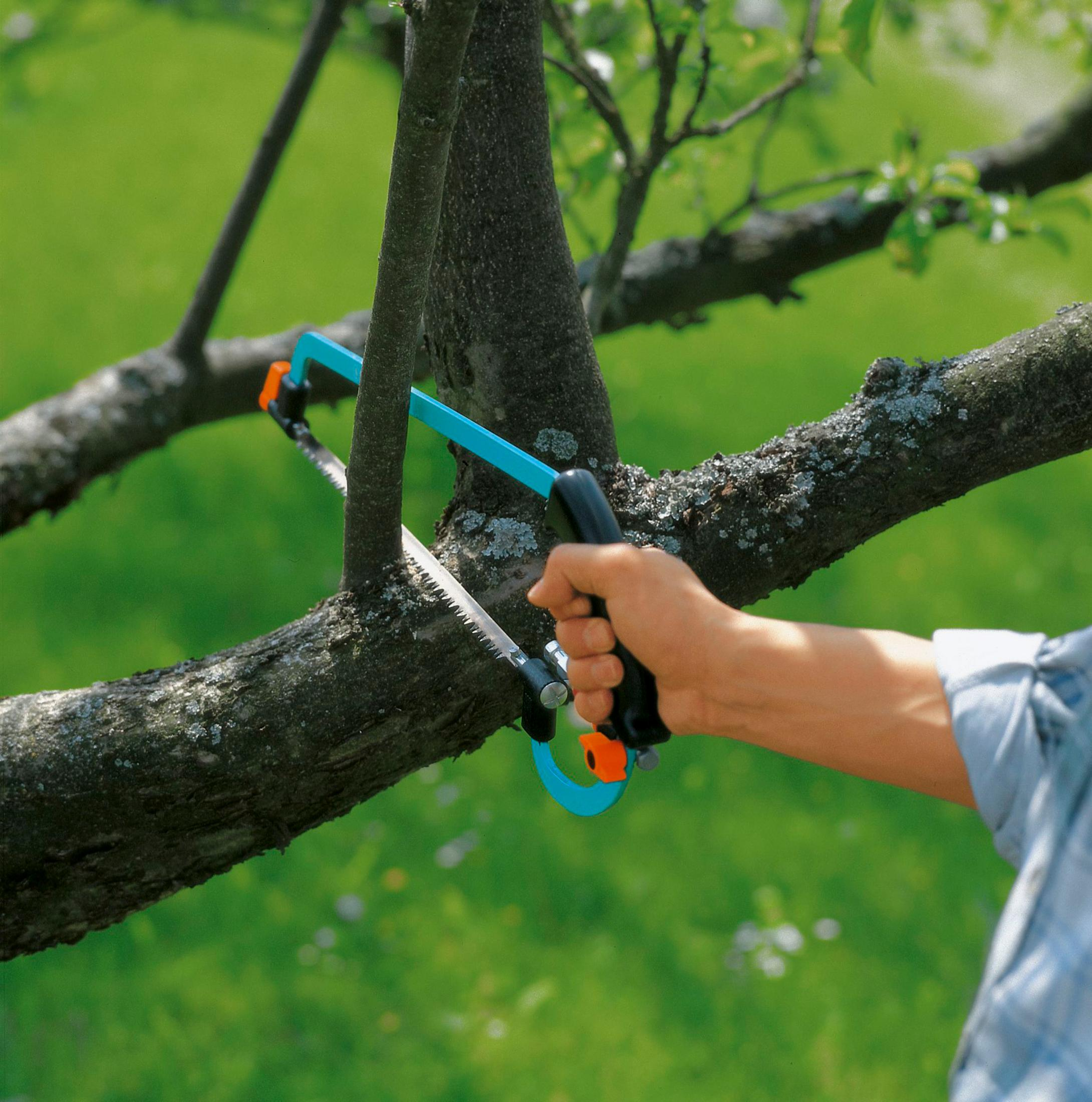 Ręka używa piły do cięcia gałęzi drzewa. Jasne tło.