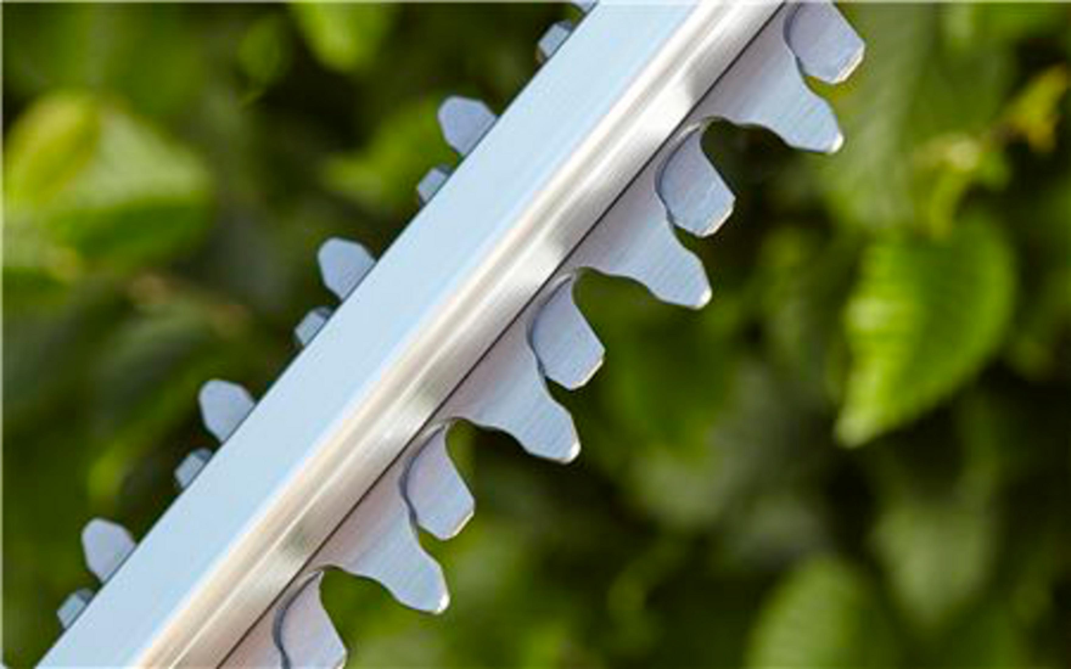 Zbliżenie ostrzy nożyc do żywopłotu z ząbkowanymi krawędziami na zielonym liściu.