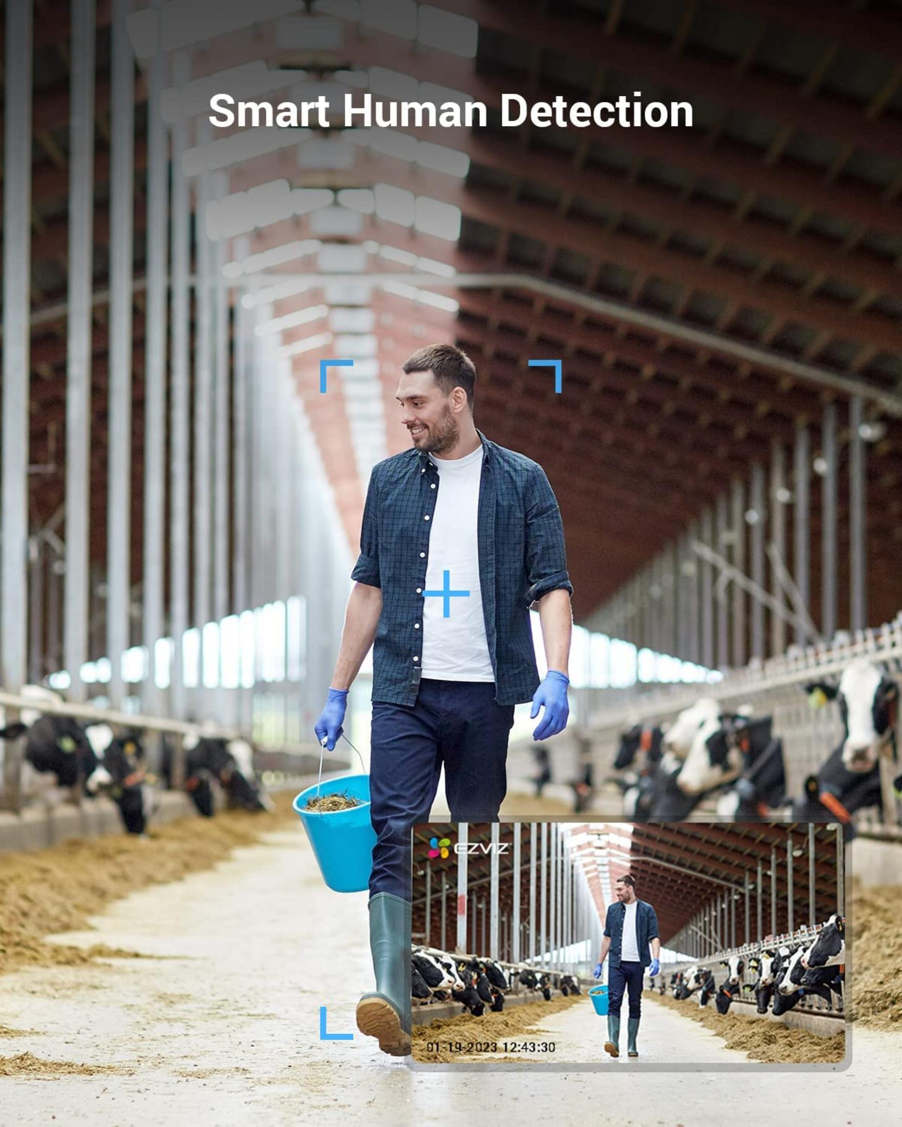 Mężczyzna z niebieskim wiadrem idzie przez oborę z krowami.