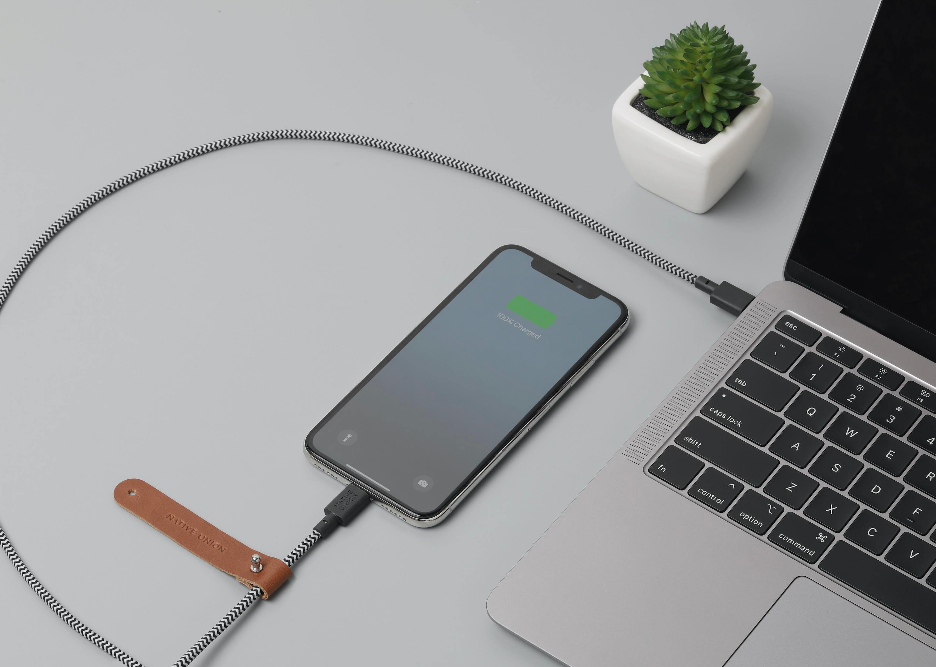 Uno smartphone al 100% di carica è collegato a un laptop. Una piccola pianta è accanto.