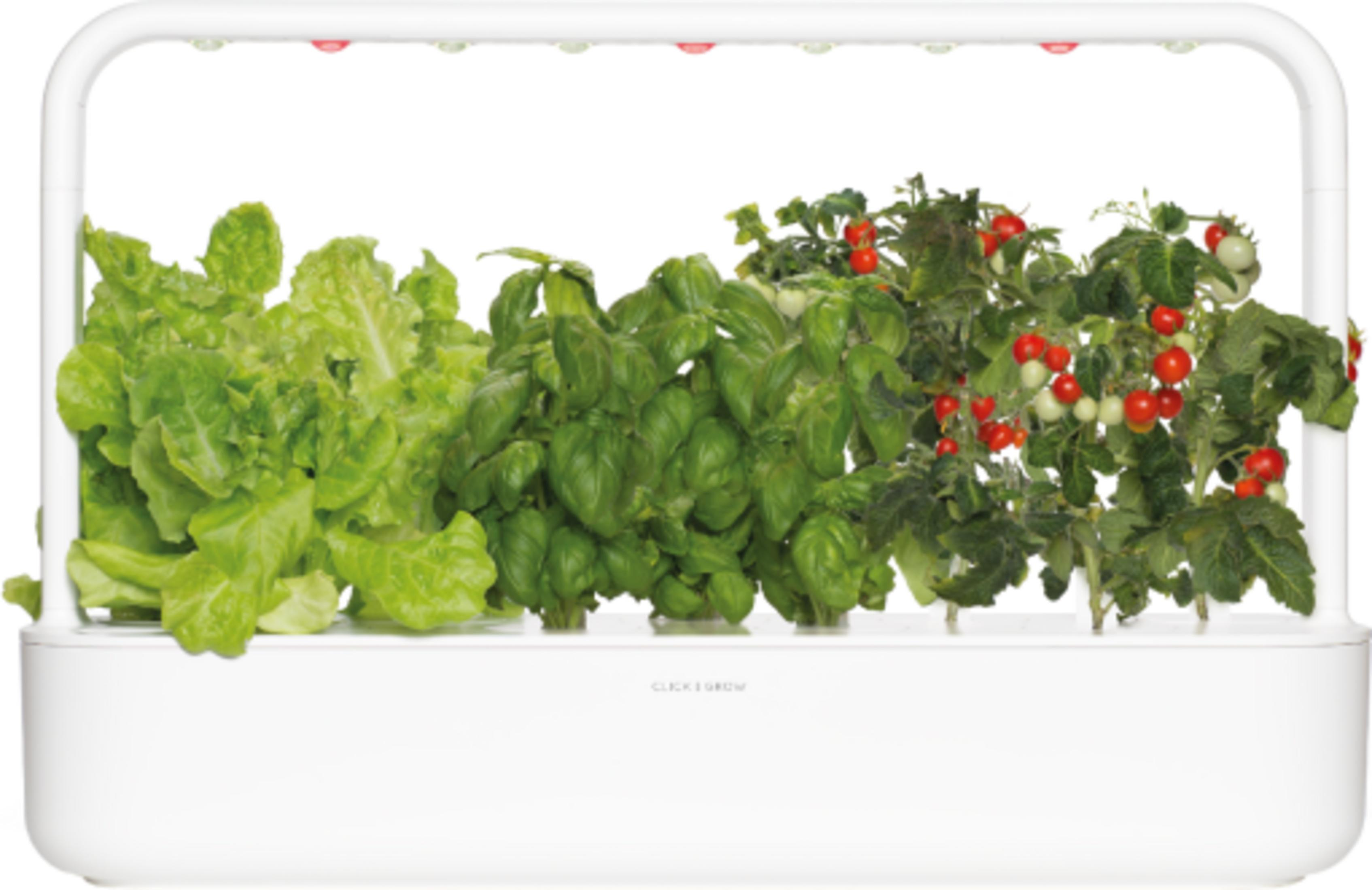 Un appareil blanc avec de la laitue, du basilic et des plants de tomates.