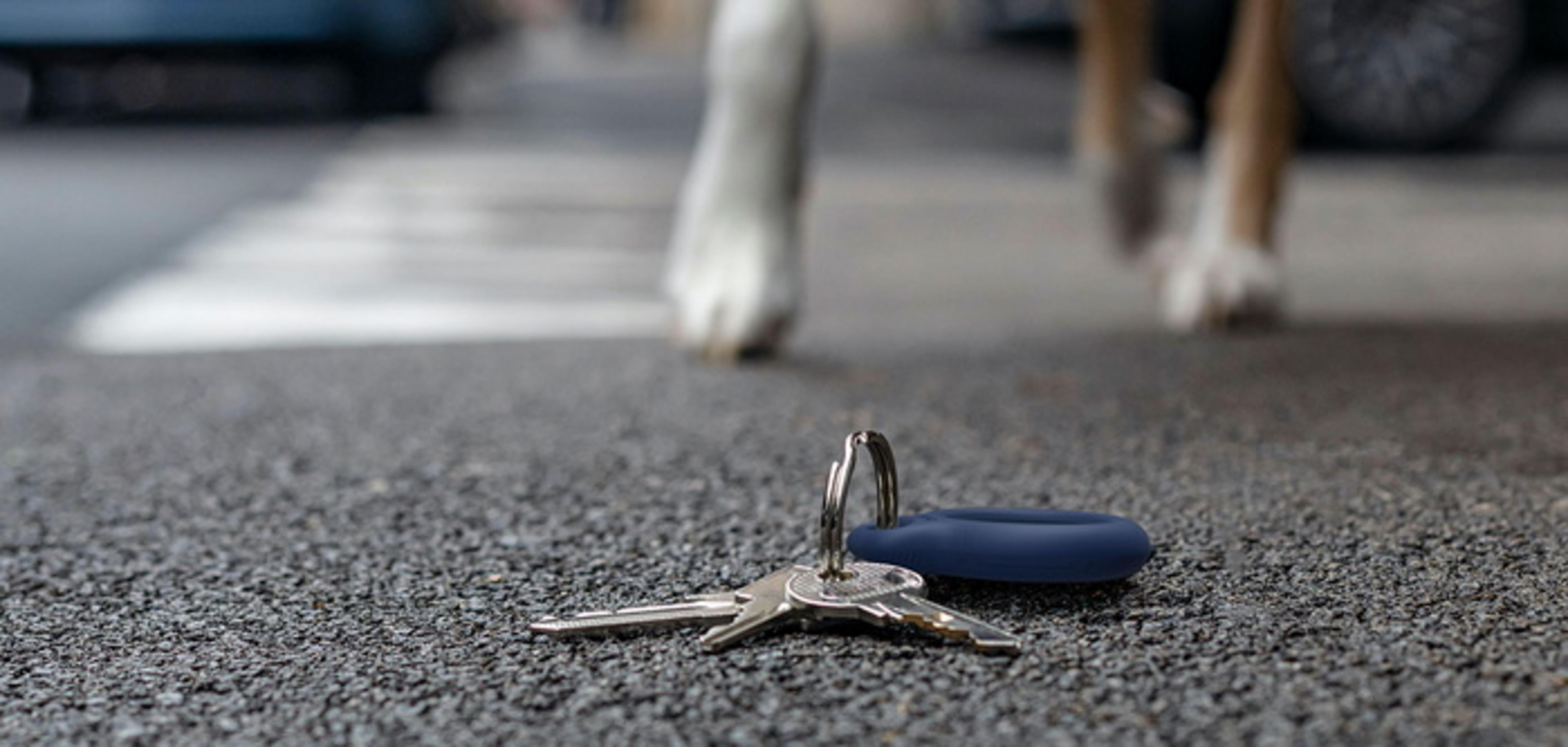 Schlüsselbund mit blauem Anhänger auf Asphalt, Hund im Hintergrund.
