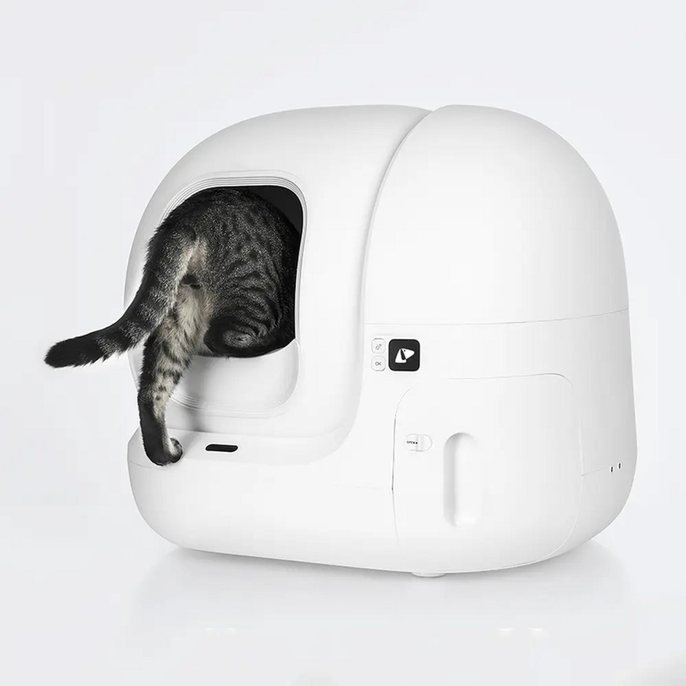 La coda di un gatto tigrato esce da una lettiera automatica bianca.