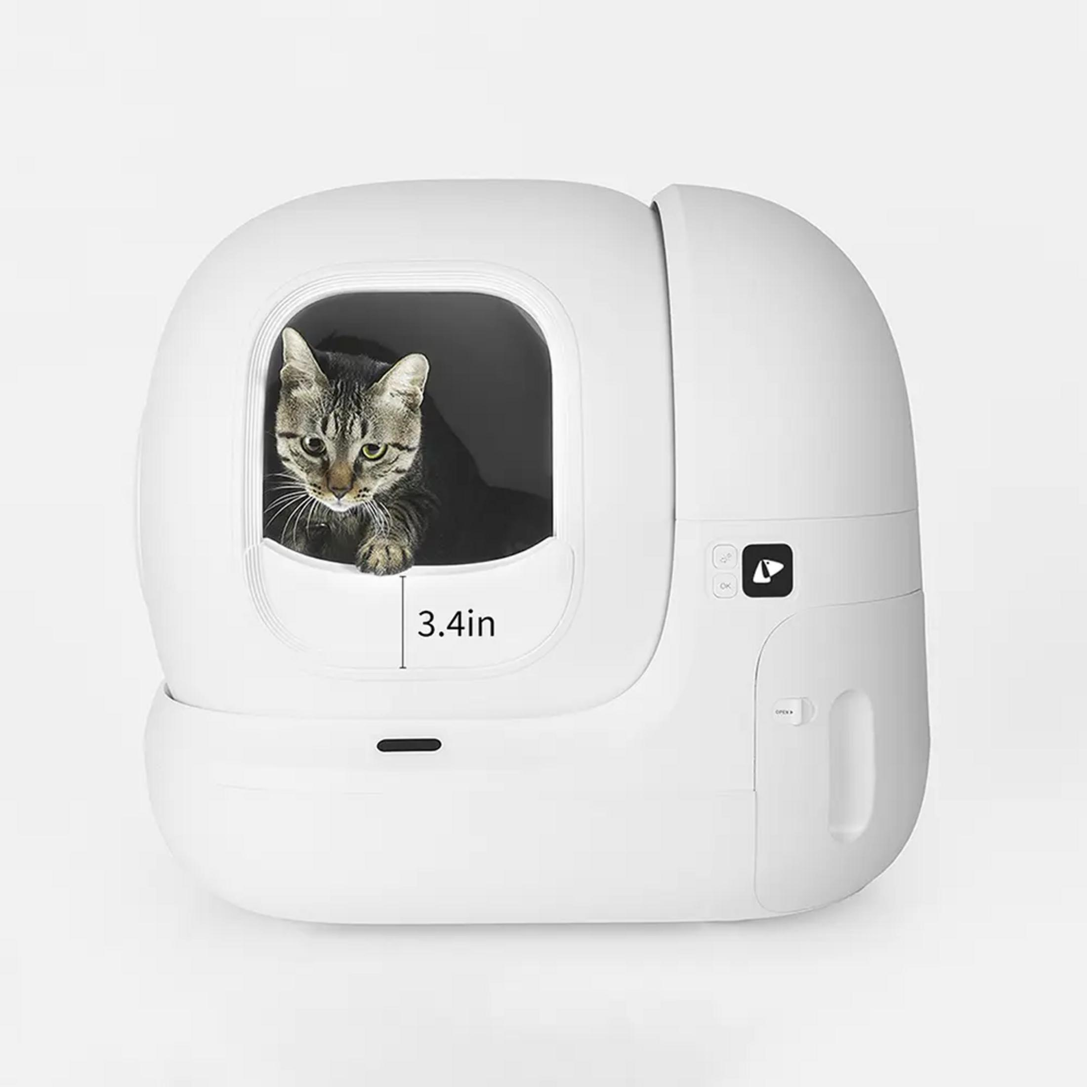 Un gatto soriano sbircia da una lettiera bianca.
