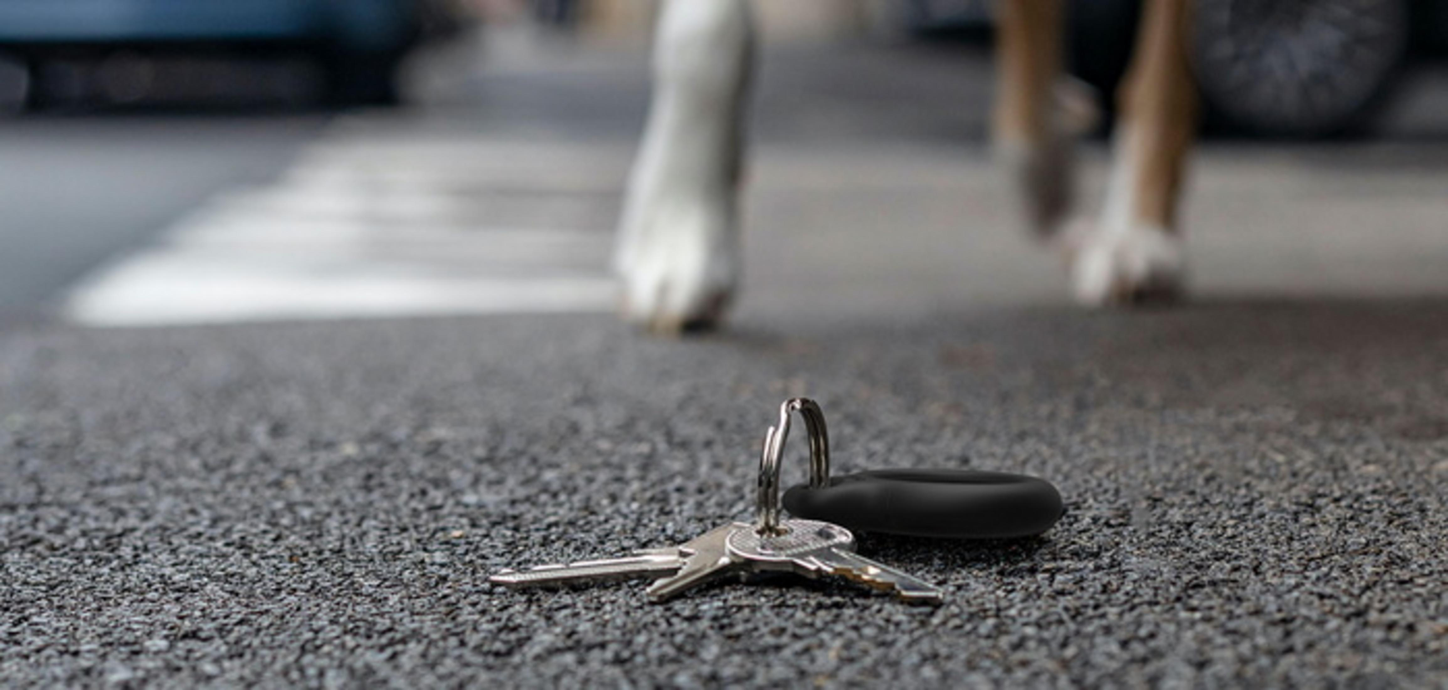 Des clés sur l'asphalte, un chien passe.