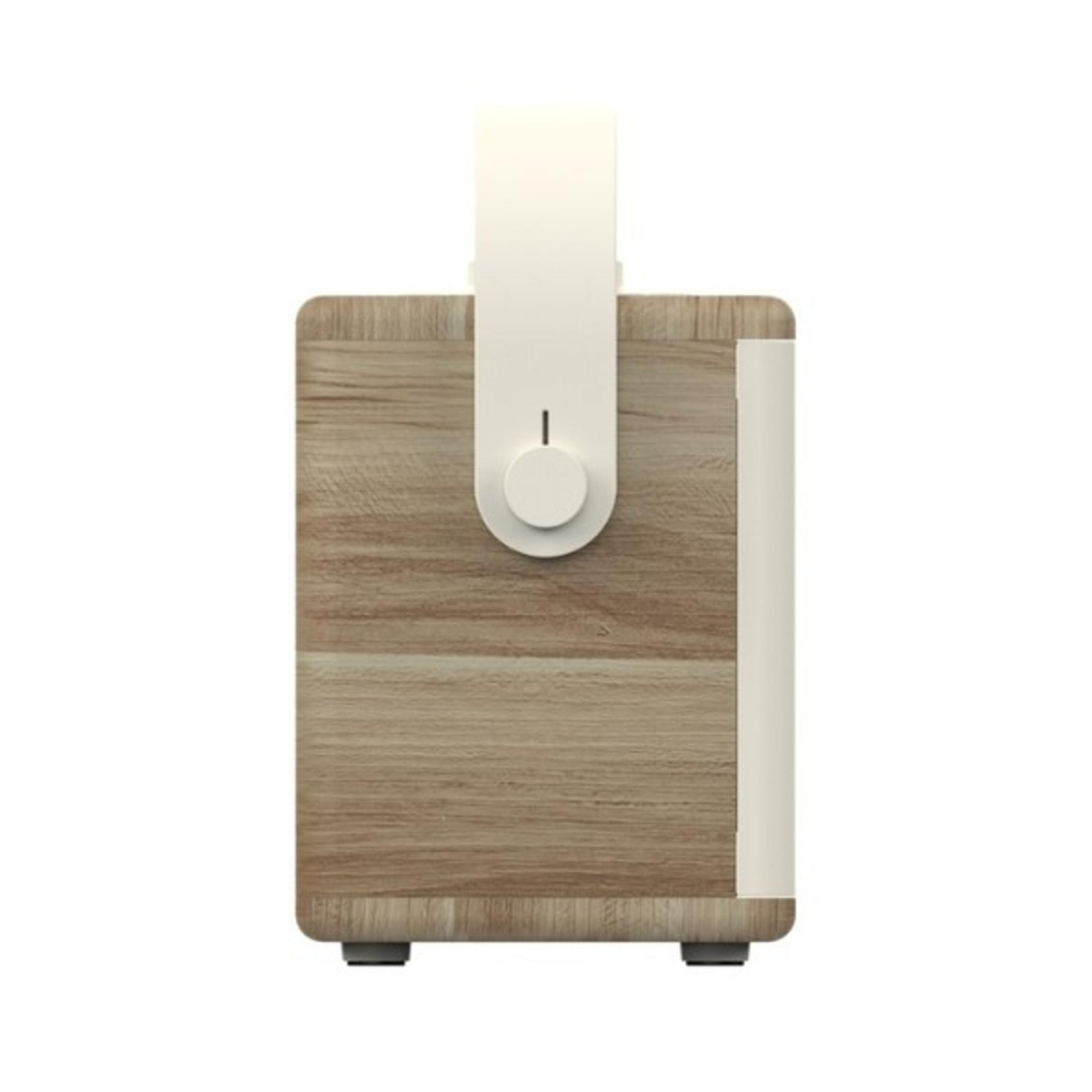 Enceinte en bois avec poignée et bouton blancs.