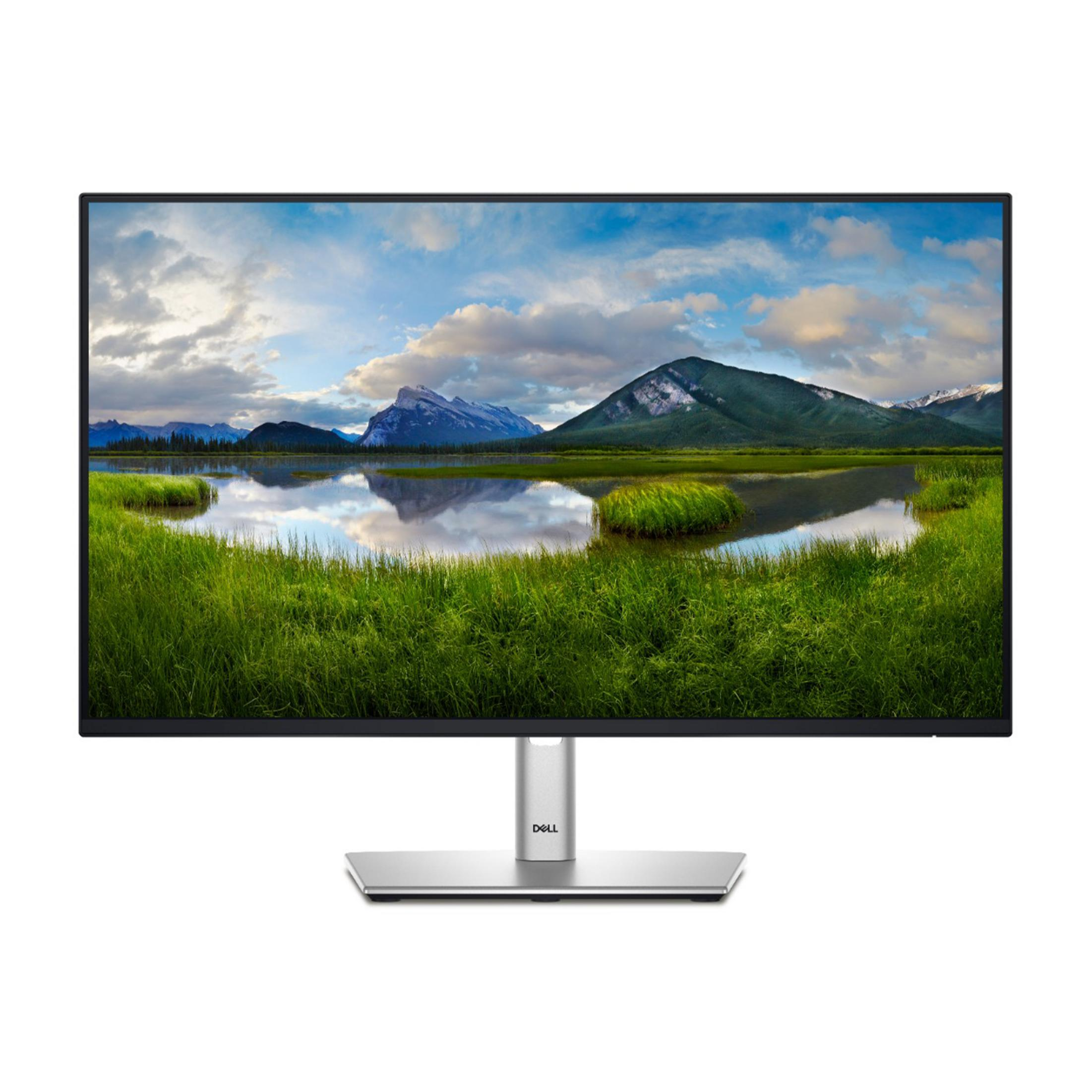 DELL P2425HE 24 inç Full-HD 8 ms 60 Hz Monitör Gri