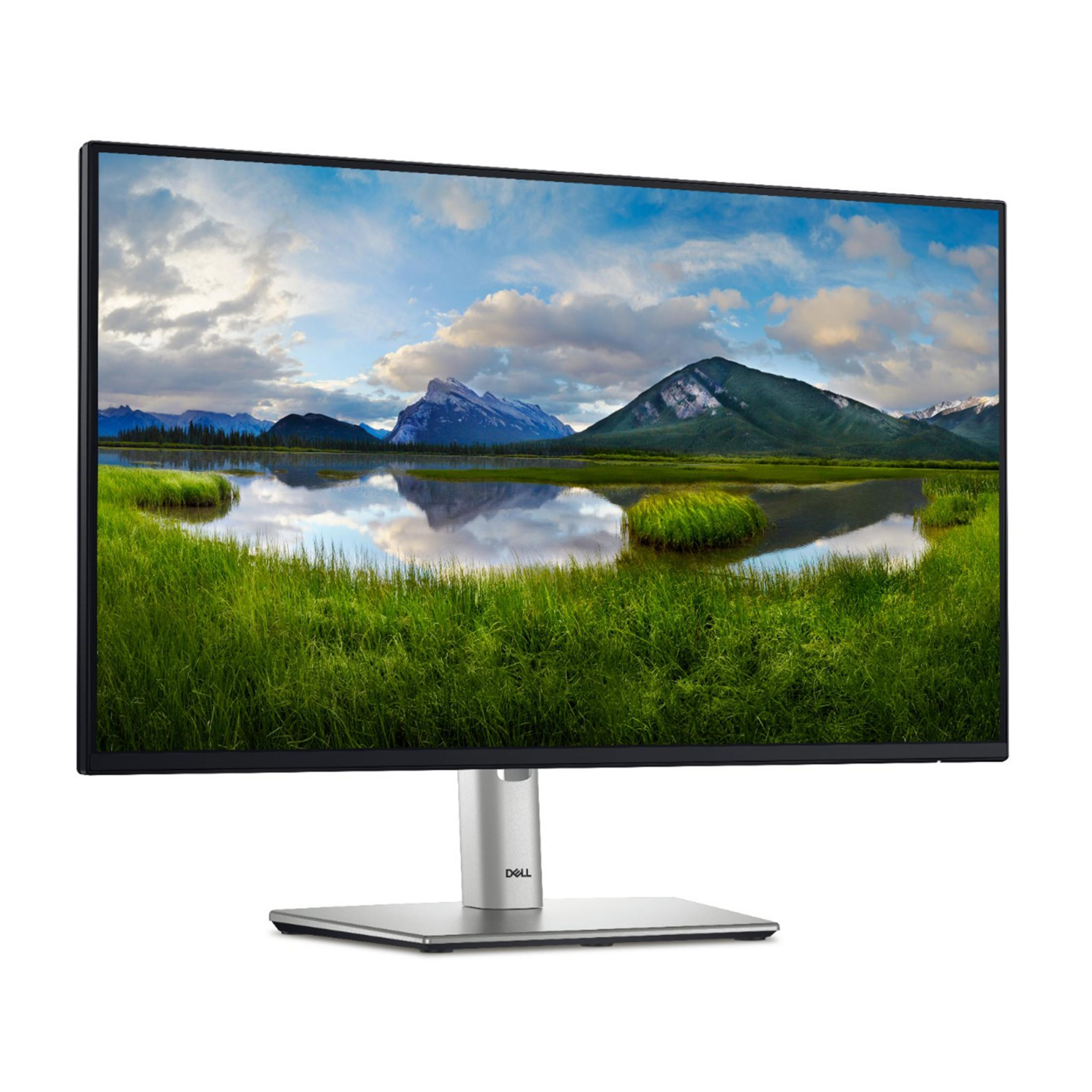 Monitor Dell wyświetla górski krajobraz z jeziorem i bujną trawą.