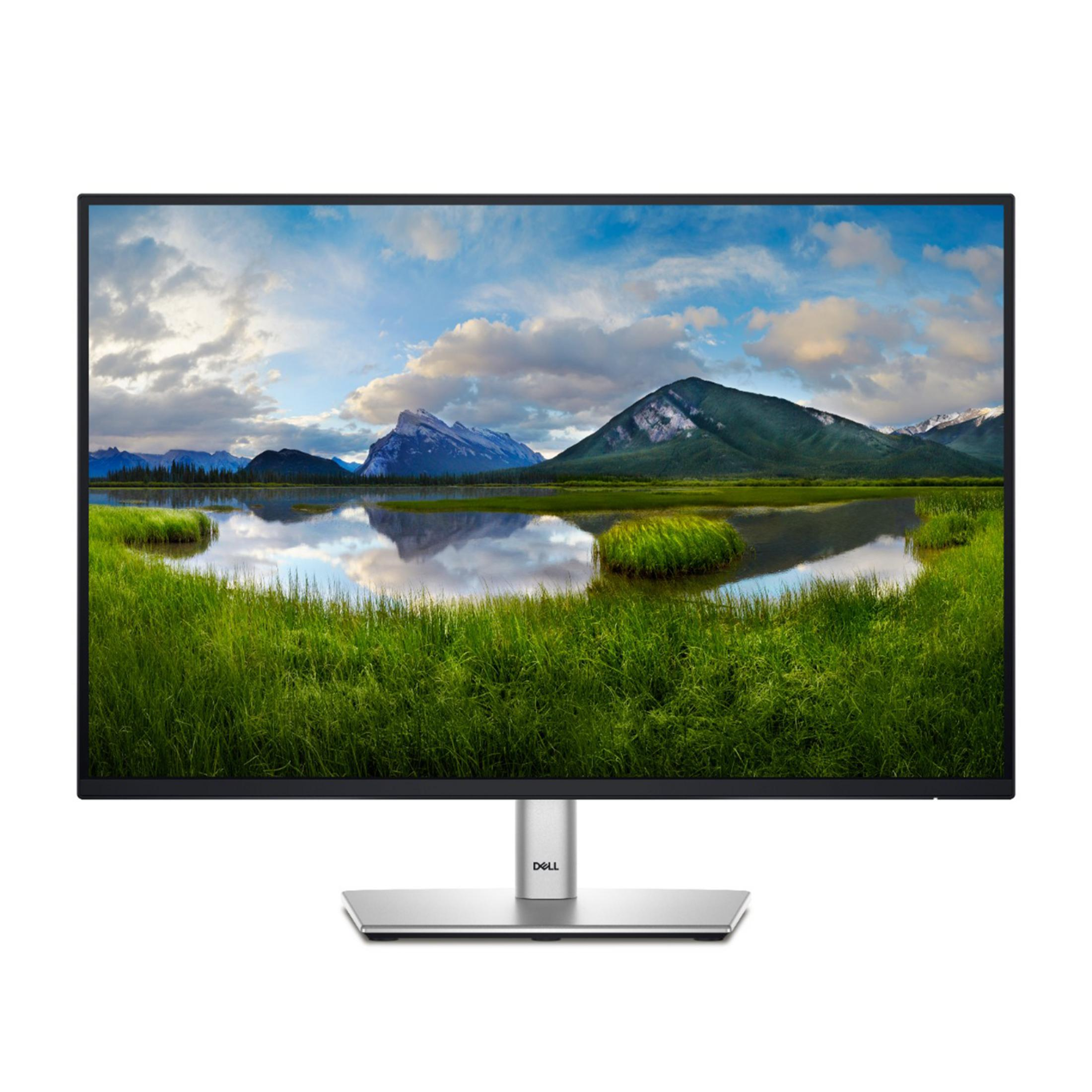 DELL P2425E 24 inç Full-HD 5 ms 60 Hz Monitör Gri
