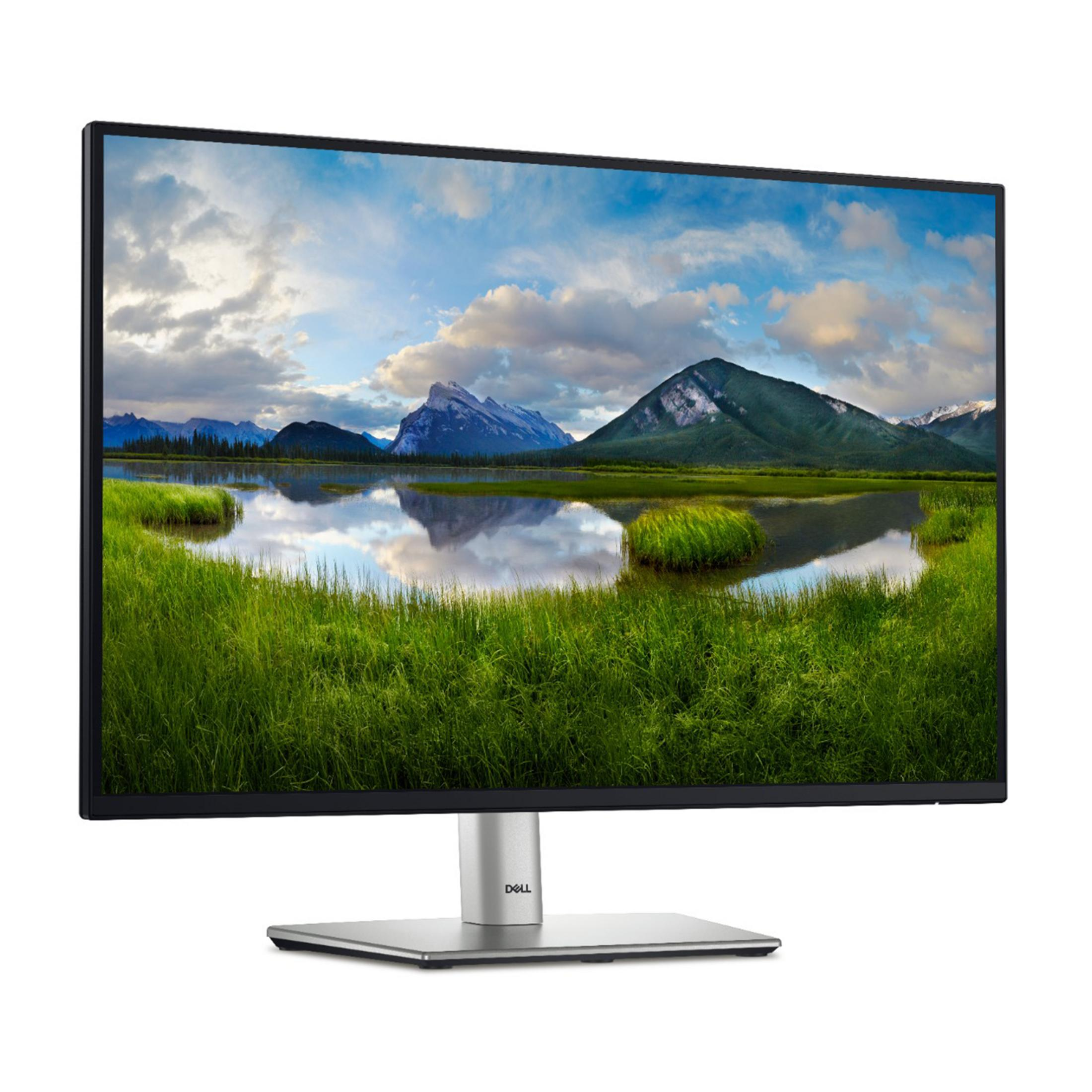 Monitor Dell wyświetla górski krajobraz z jeziorem i zieloną trawą.