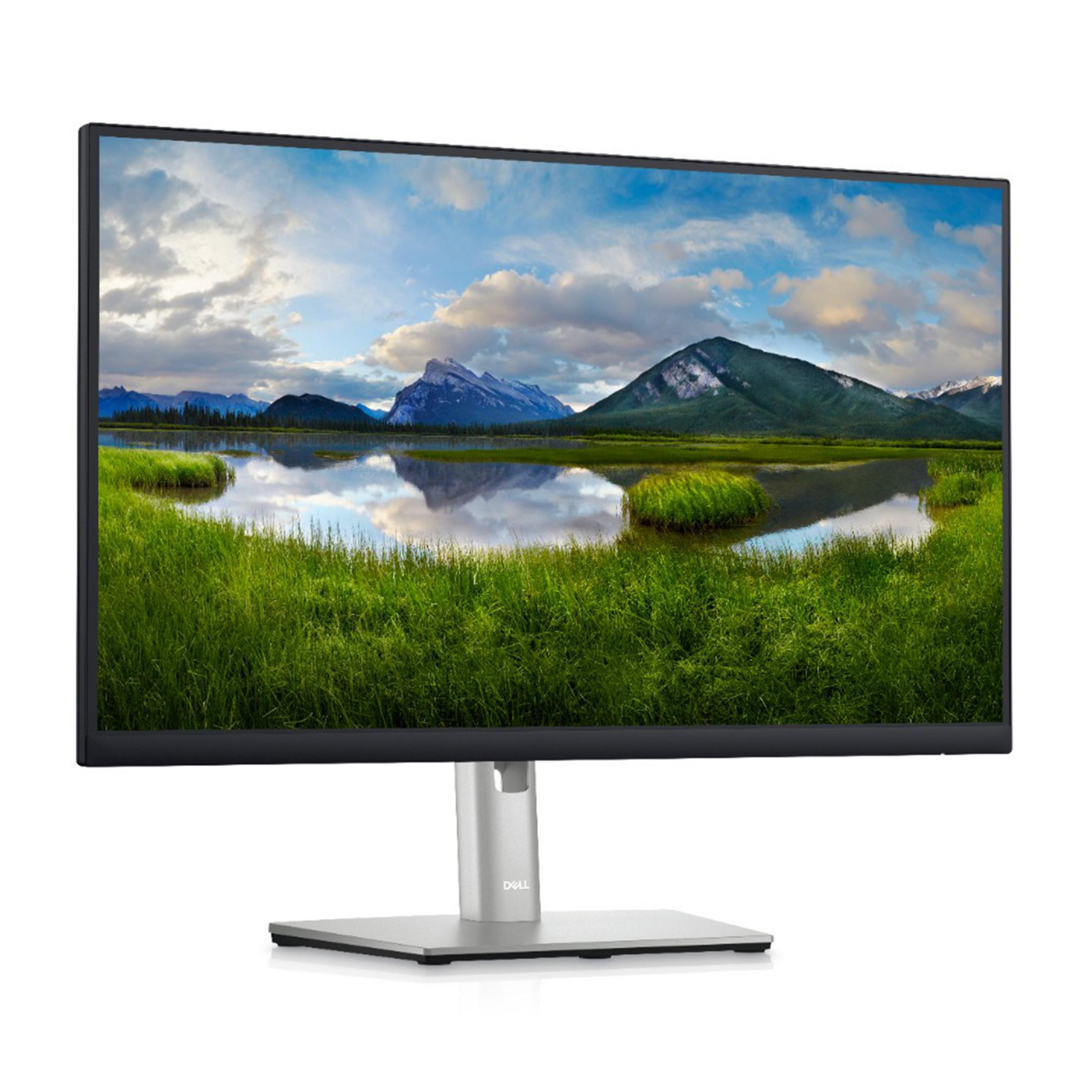 Monitor wyświetla krajobraz z górami, jeziorem i zieloną trawą.