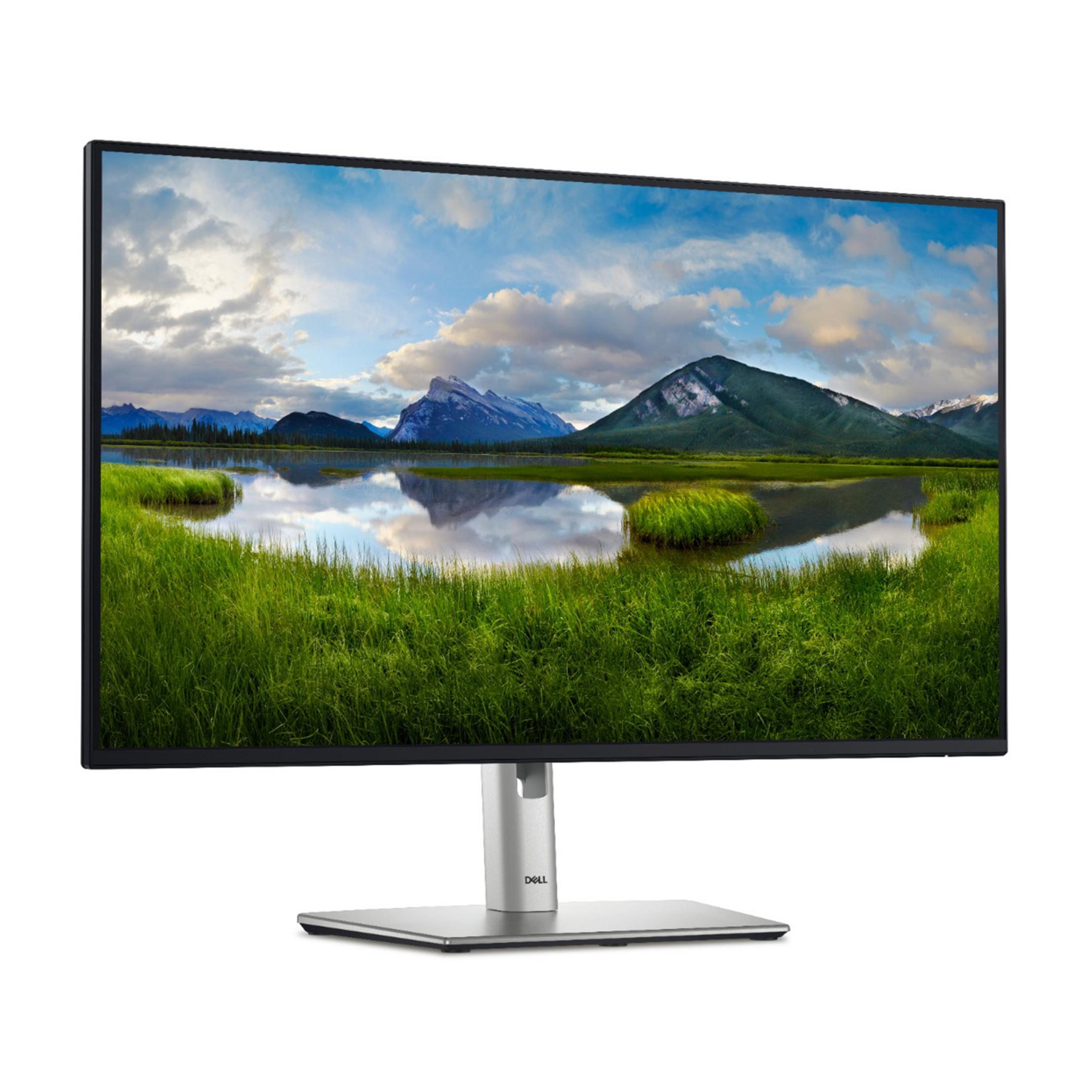 Een Dell monitor toont een berglandschap met meer en gras.