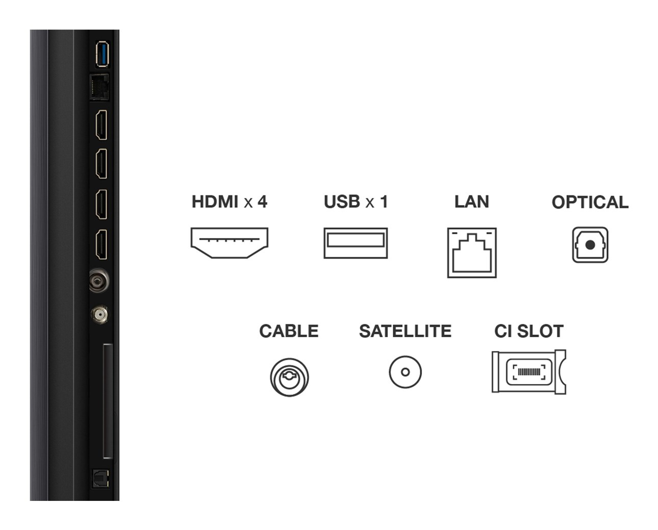 Panel przyłączy: HDMI, USB, LAN, optyczne, kablowe, satelitarne i gniazdo CI.