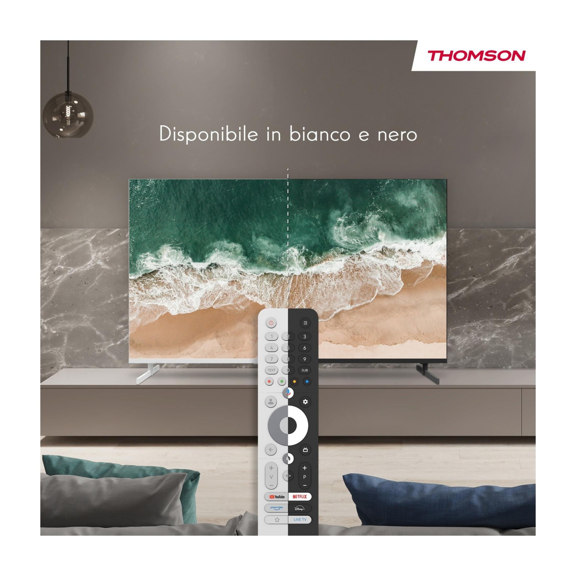 Un TV Thomson con telecomando, mostra mare e spiaggia. Disponibile in bianco e nero.