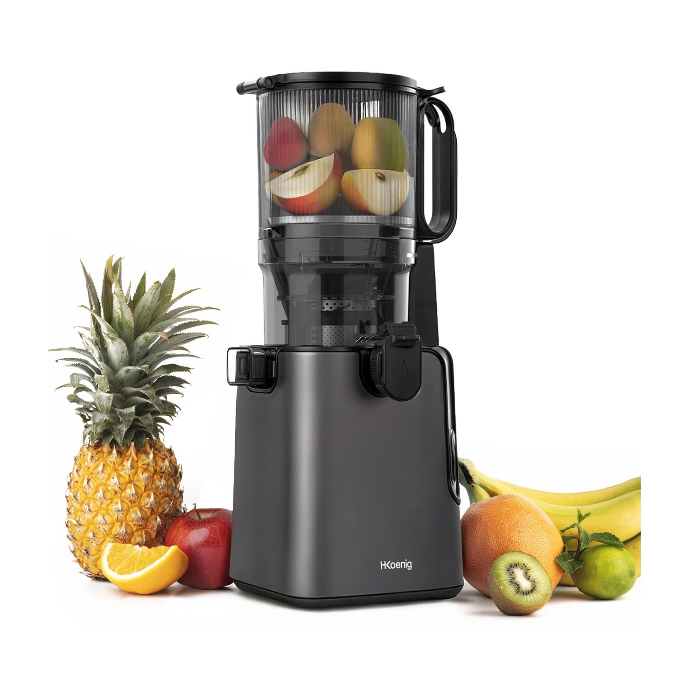 Eine dunkelgraue Saftpresse mit Früchten: Ananas, Apfel, Orange, Kiwi, Grapefruit, Limette und Bananen.
