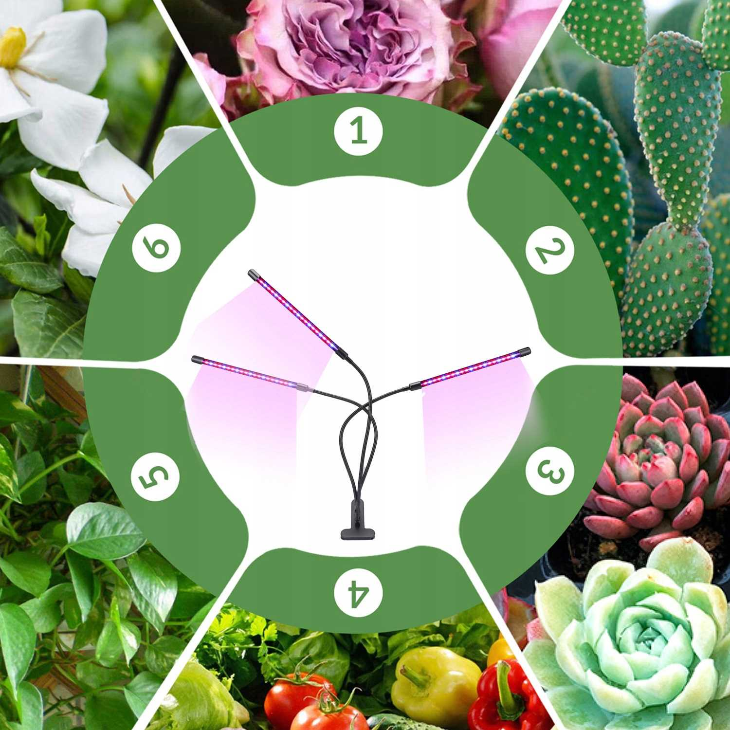 Kolaż przedstawia rośliny i warzywa, z lampą do uprawy w centrum.