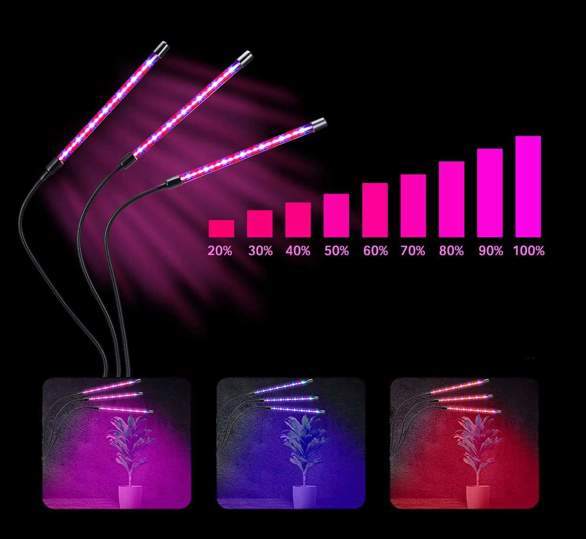 Trzy lampy roślinne świecą z różnym natężeniem, obok wykresów słupkowych.