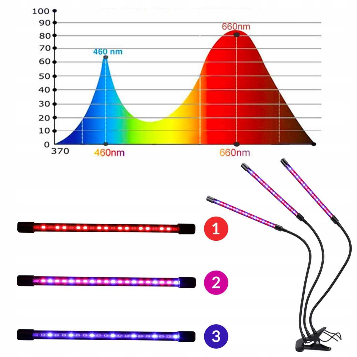 Wykres widma i trzy lampy LED do roślin w kolorze czerwonym, fioletowym i niebieskim.