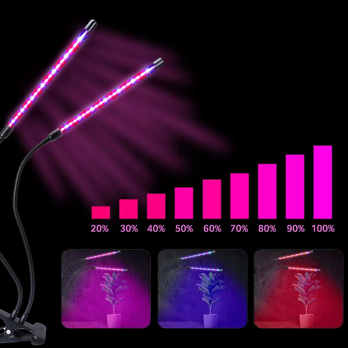 Dwie lampy do roślin świecą nad wykresem słupkowym od 20-100%.