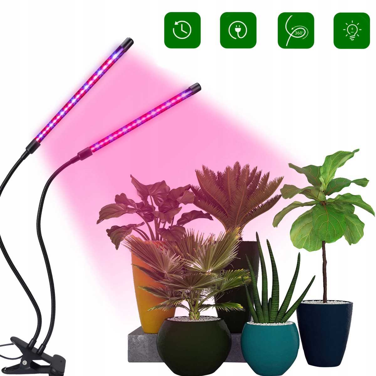 Dwie lampy do roślin z fioletowo-czerwonym blaskiem nad różnymi roślinami w doniczkach.