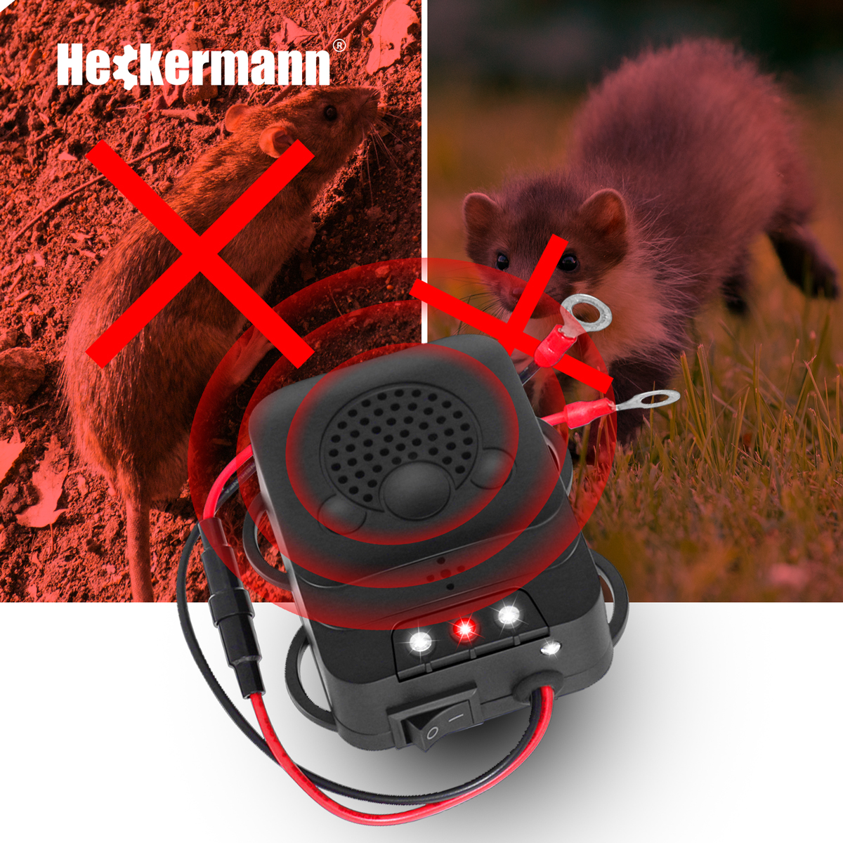 Odstraszacz szkodników: szczur przekreślony, kuna na trawie, urządzenie z kablami.