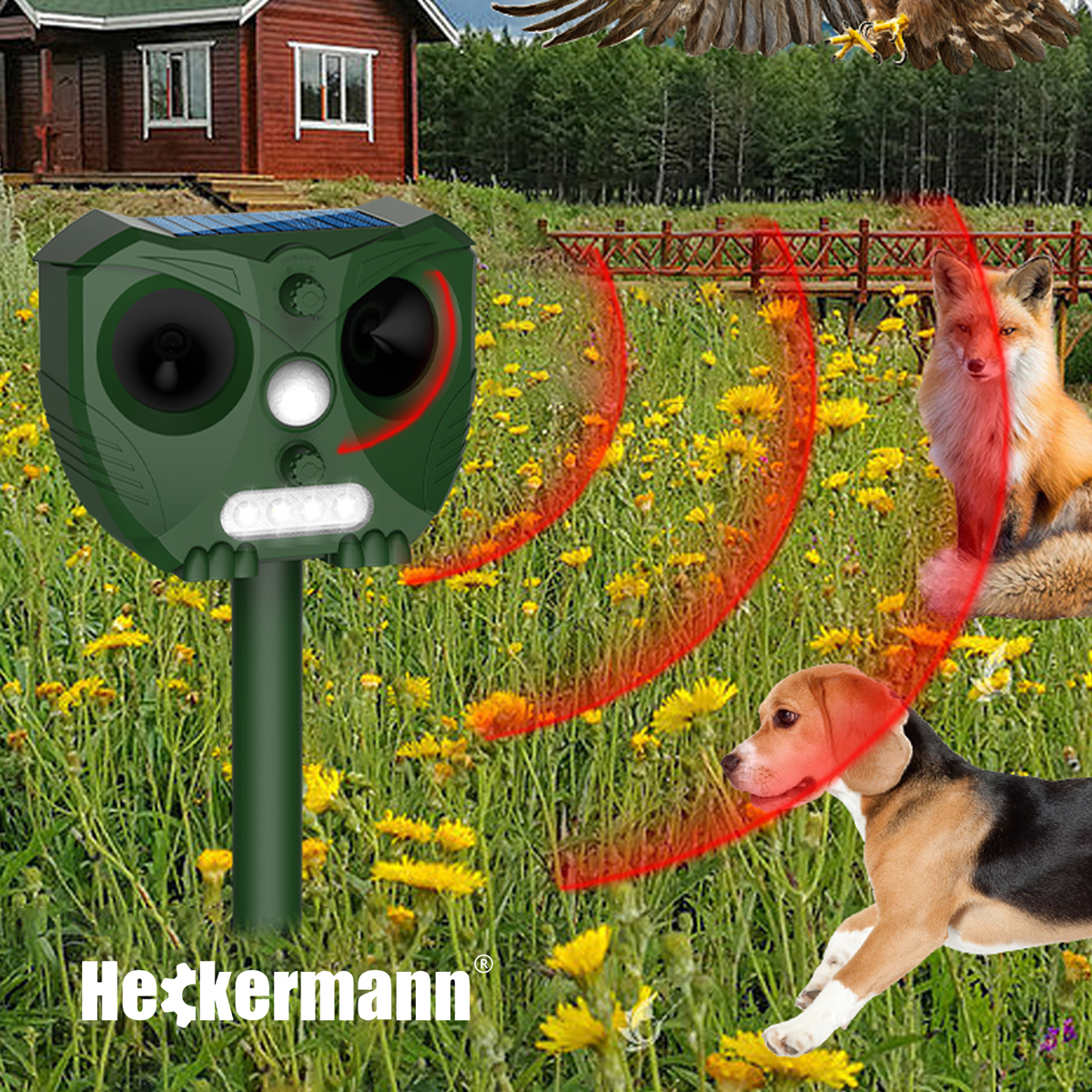 Zielone urządzenie z panelem słonecznym, lis, pies i orzeł nad łąką.