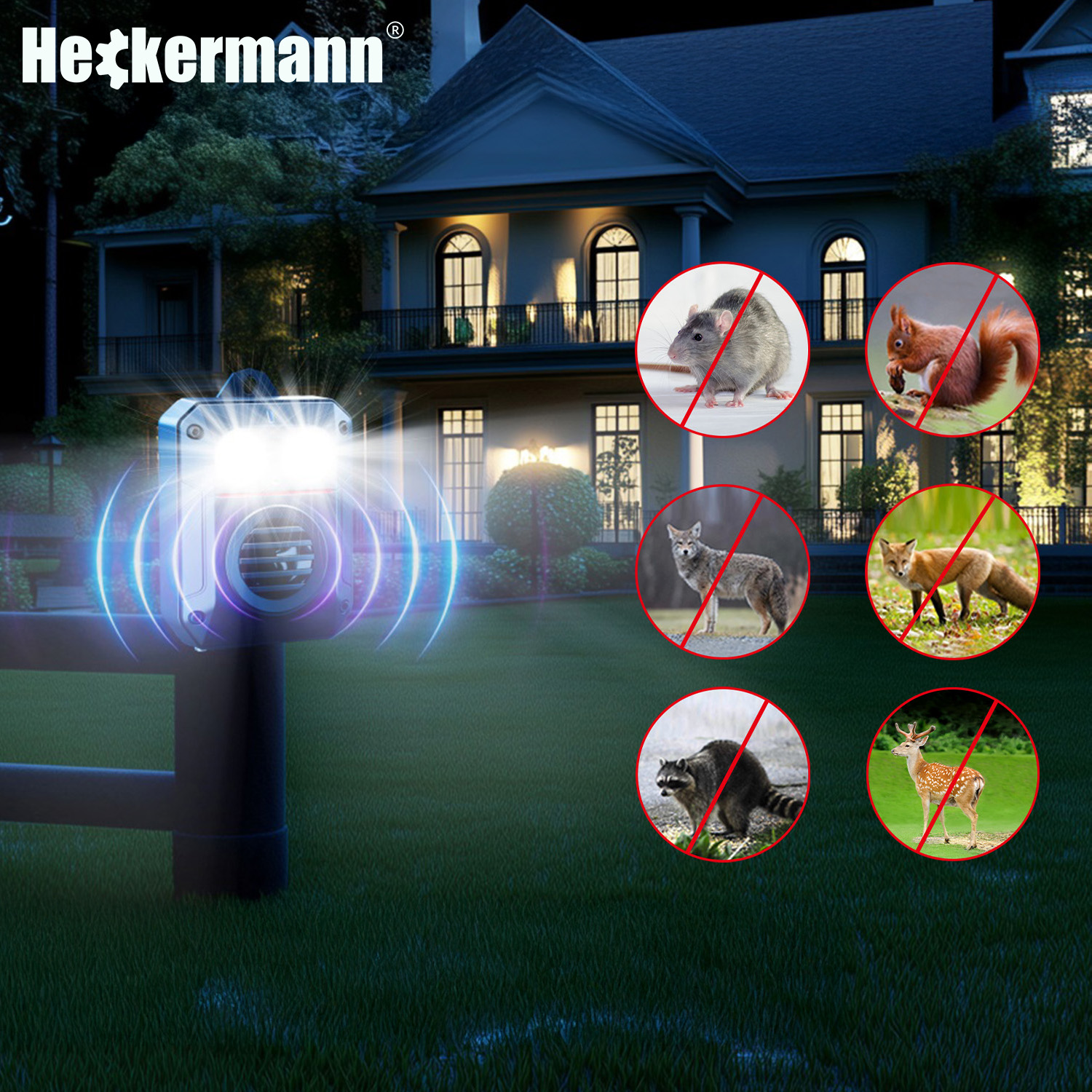 Odstraszacz szkodników w ogrodzie nocą przed domem z obrazami zwierząt.