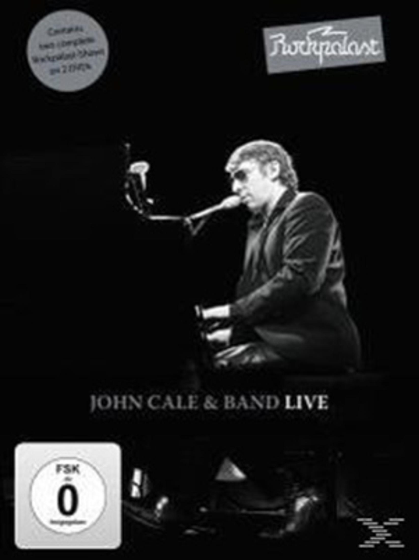 Mann spielt Klavier mit Mikrofon, John Cale & Band Live.