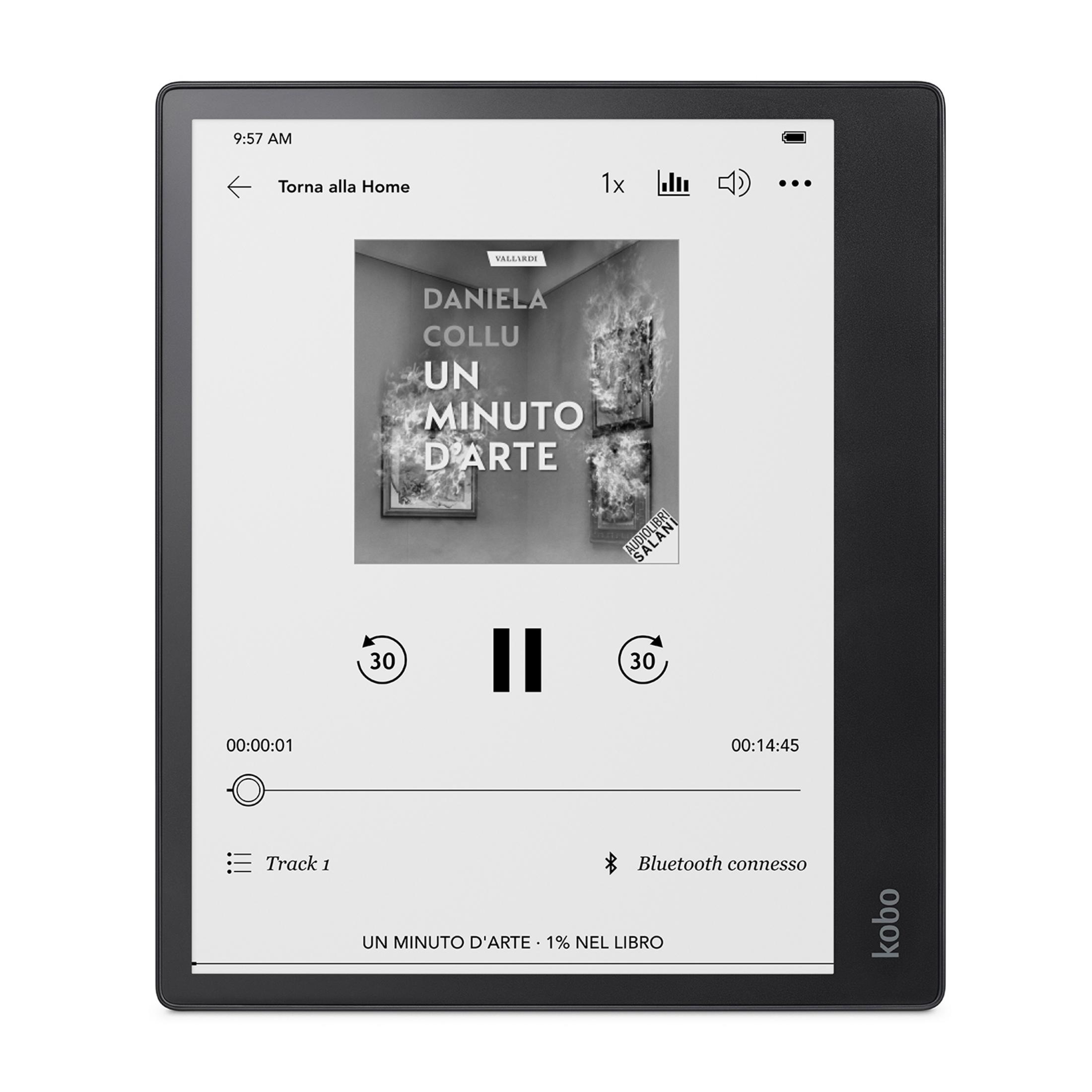 Czytnik e-booków wyświetla okładkę audiobooka z płonącymi obrazami.