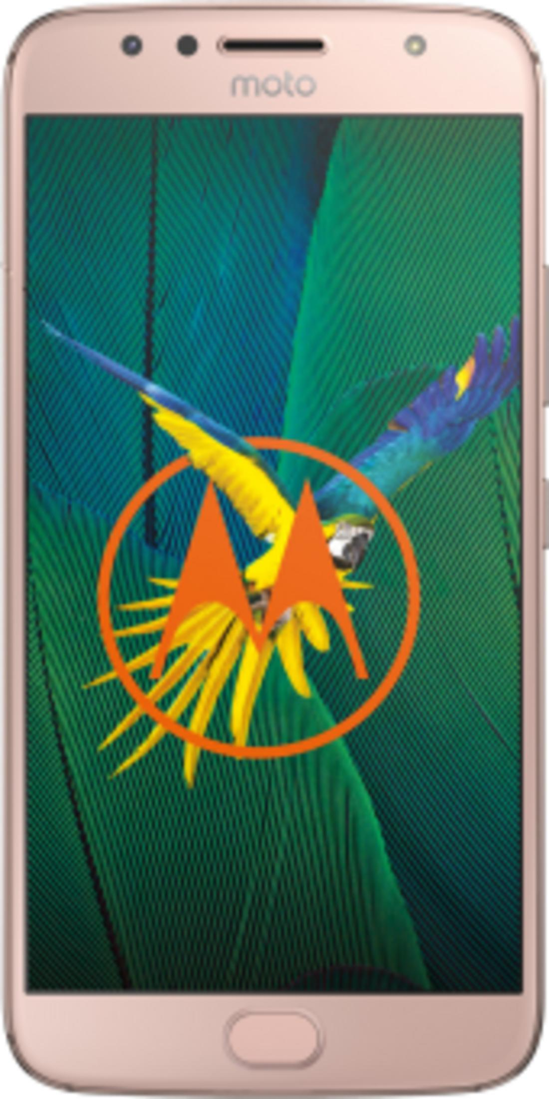 Ein rosa Smartphone mit einem Papageien-Hintergrund und dem Motorola-Logo.
