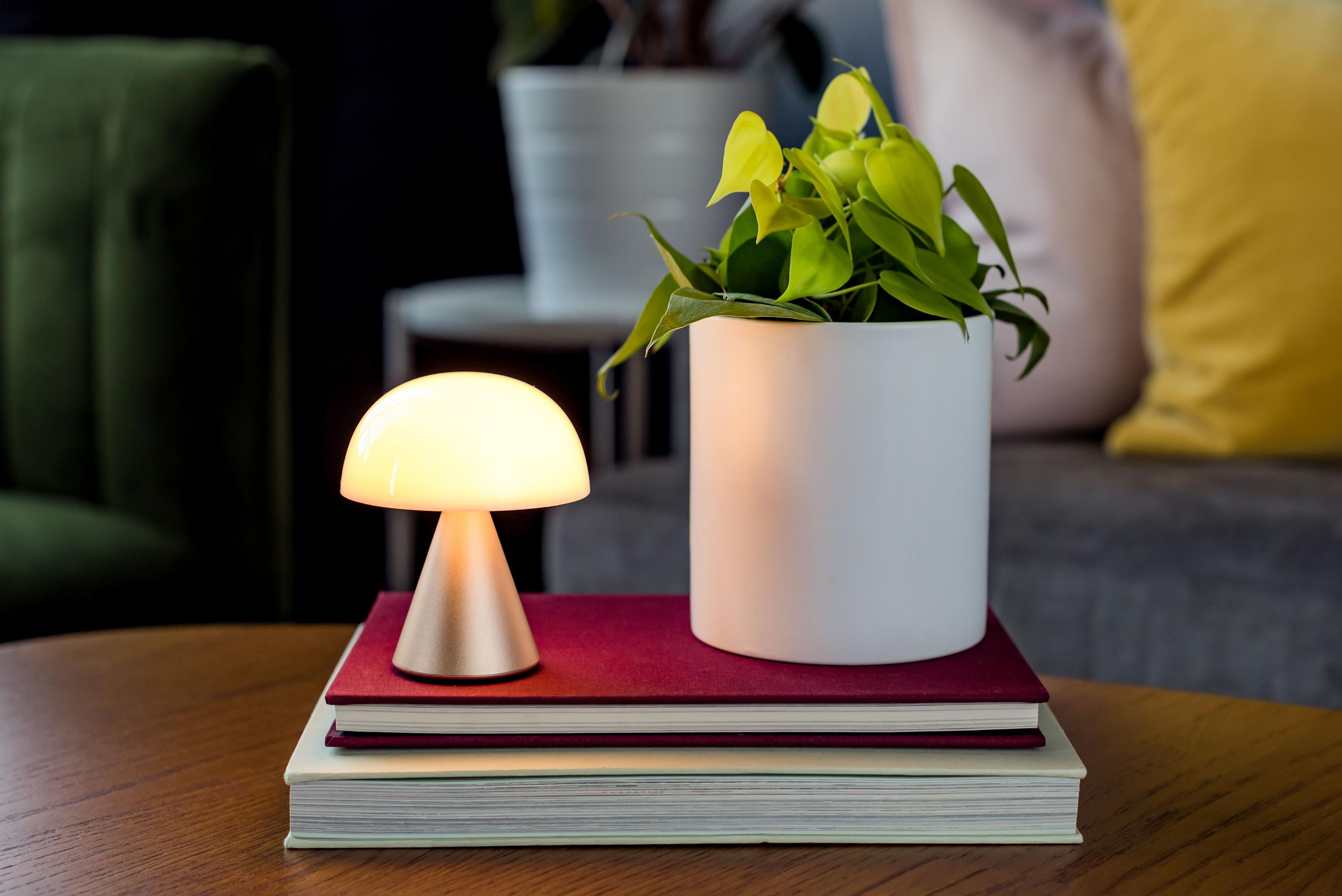 Une lampe et une plante sont posées sur des livres sur une table en bois.