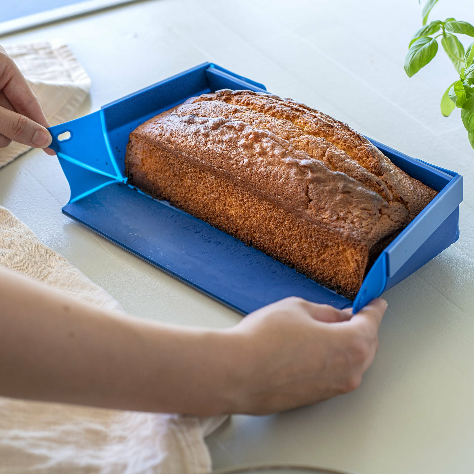 Hände nehmen einen frisch gebackenen Kuchen aus einer blauen Form.