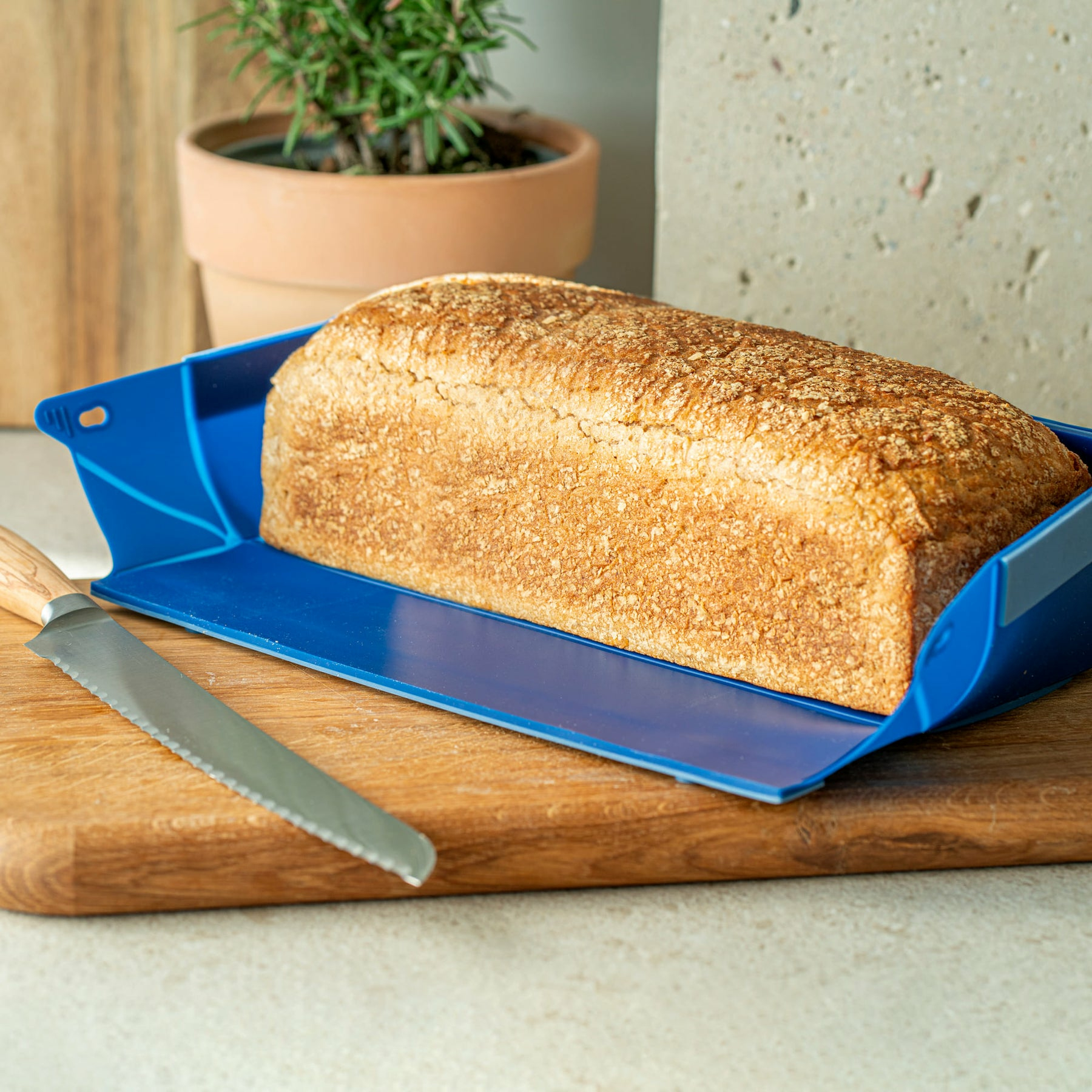 Ein Laib Brot auf einem blauen Halter auf einem Holzbrett mit einem Messer.