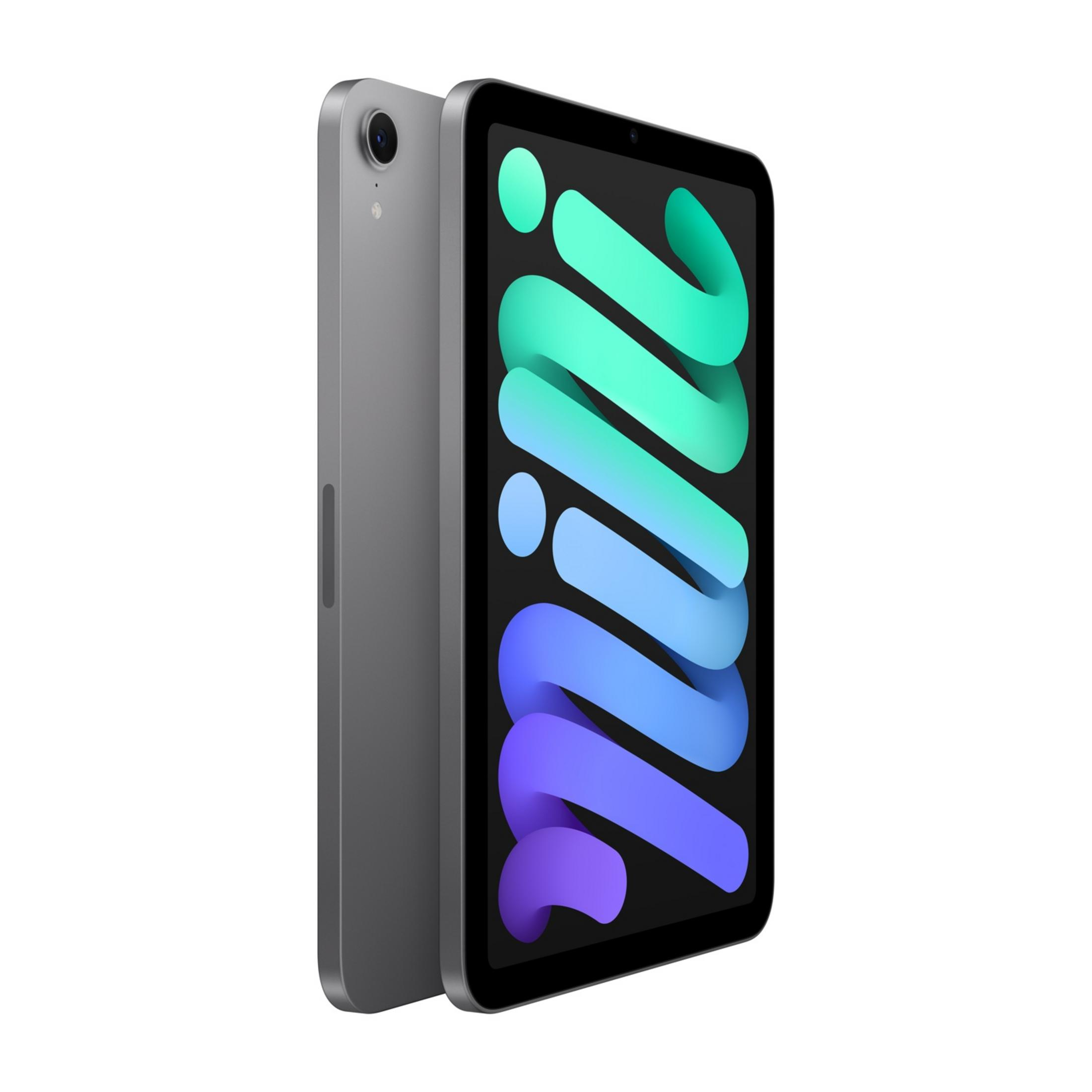 Ein graues iPad Mini mit Kamera und einem bunten Hintergrund auf dem Bildschirm.