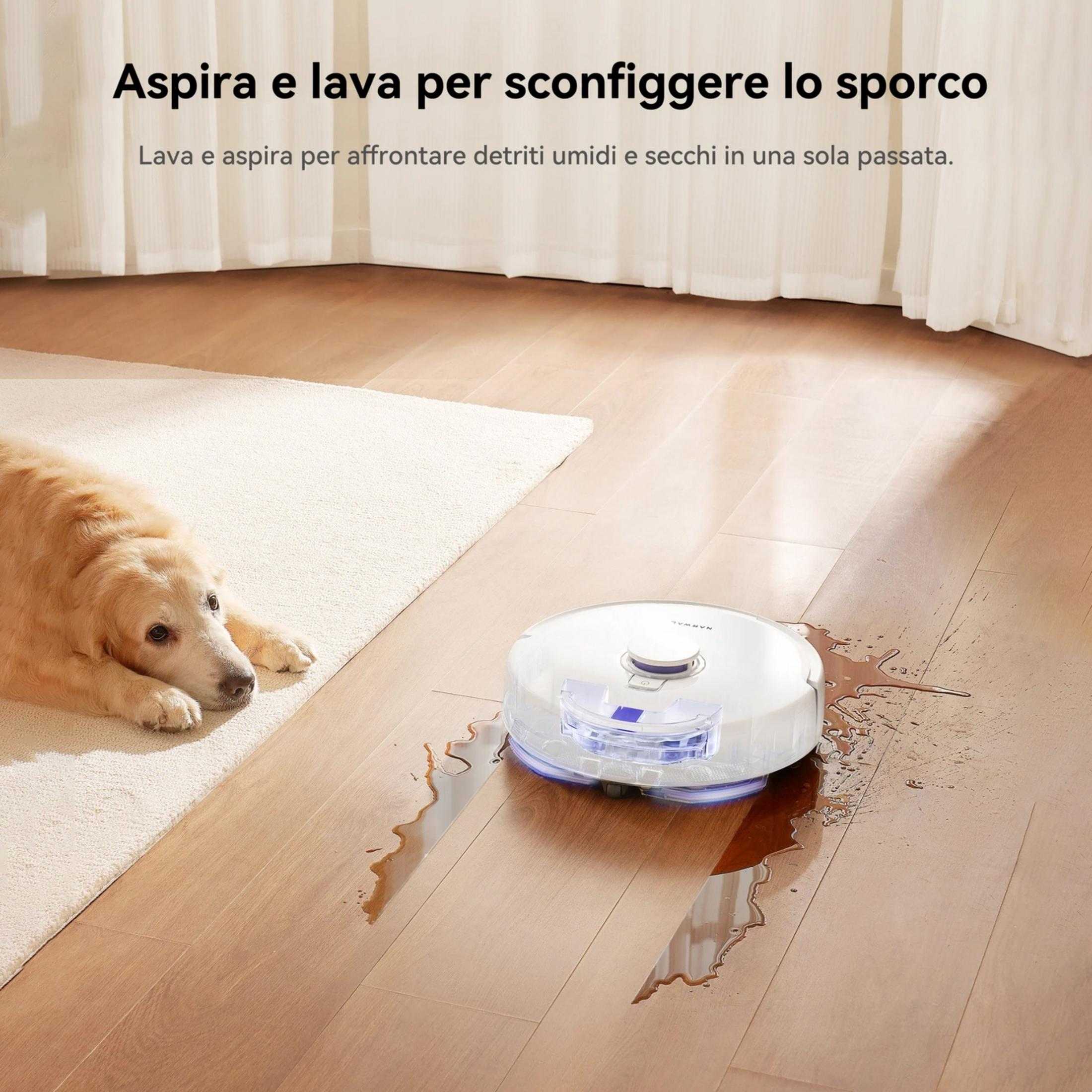 Un robot aspira e lava un pavimento in legno. Un cane è sdraiato su un tappeto.