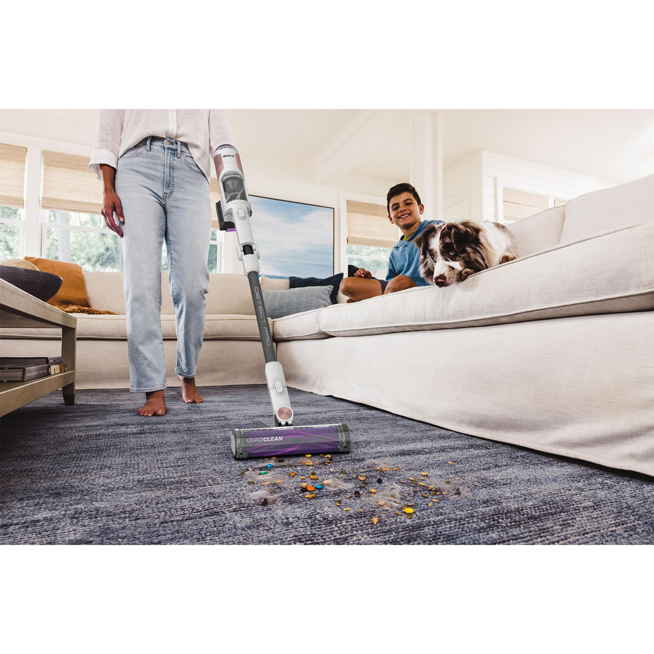 A person vacuums a rug while a boy and dog relax on the sofa.