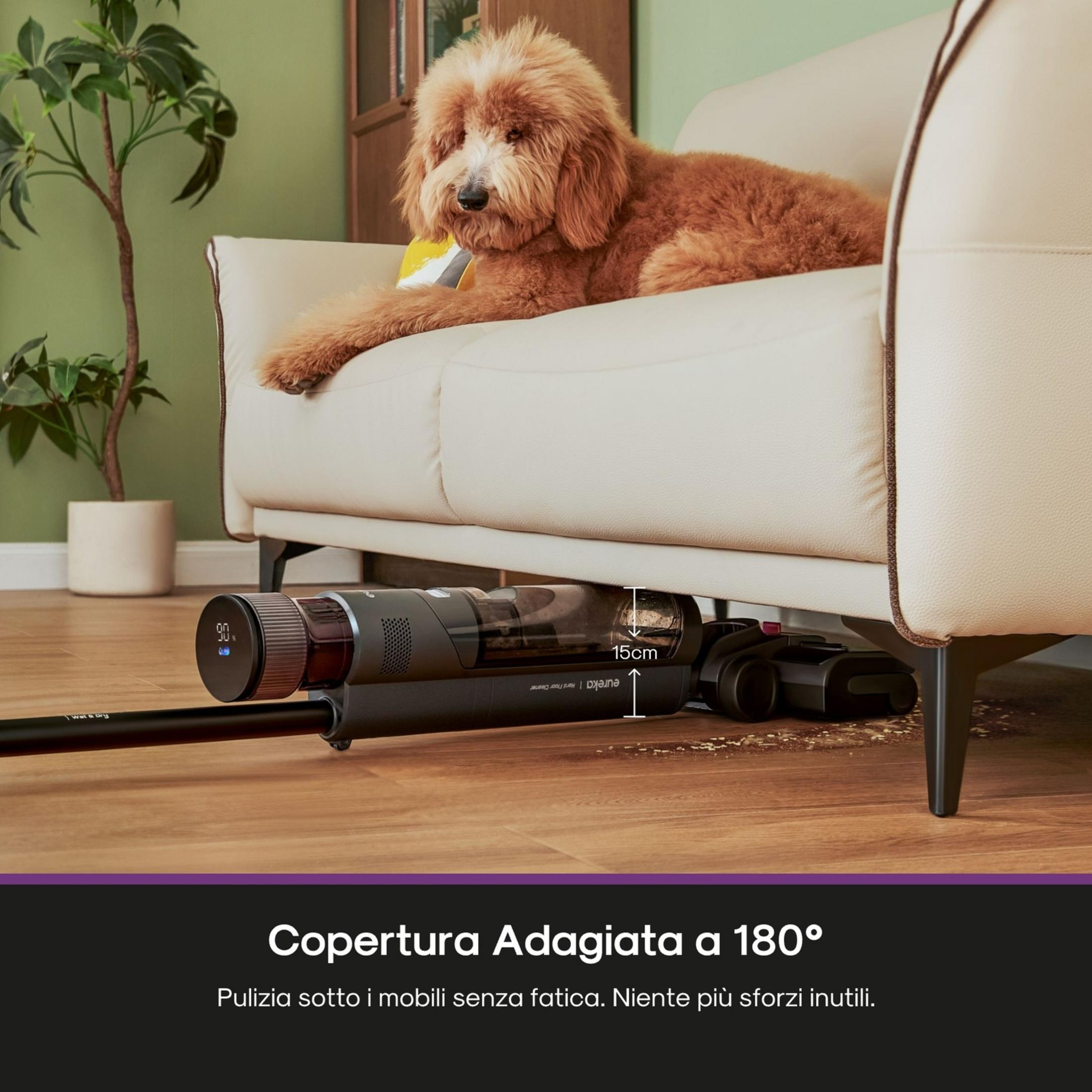 Un perro yace en un sofá, una aspiradora debajo.