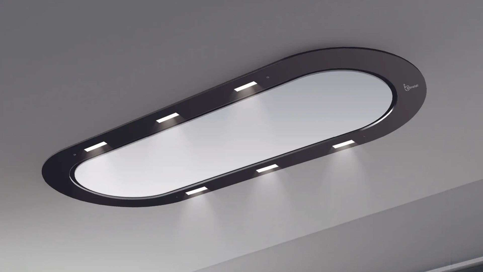 Lampada da soffitto ovale con cornice scura e luci integrate.