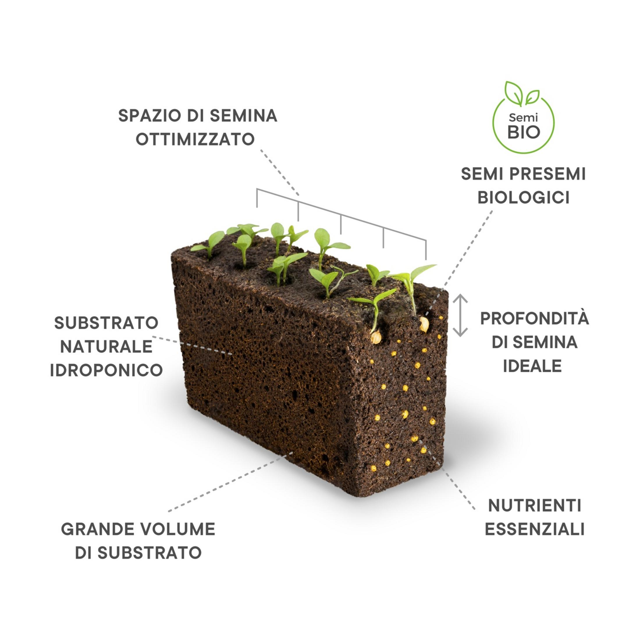 Cubo per semina con piantine, ideale profondità di semina, nutrienti e semi bio.