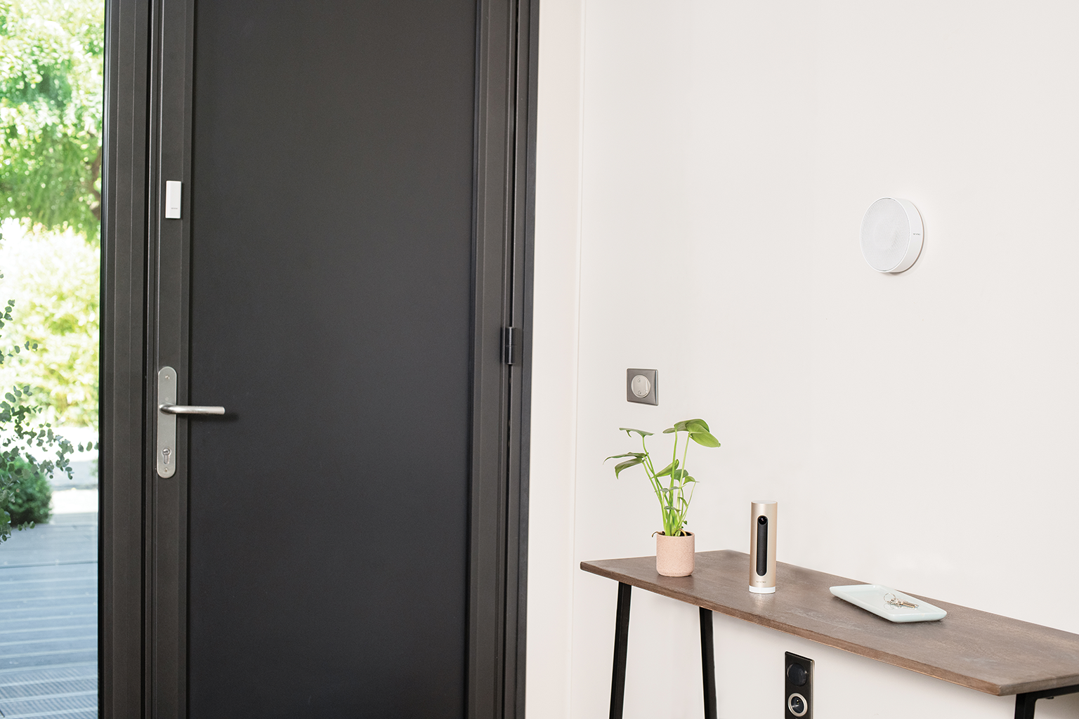 Ciemne drzwi z srebrną klamką, stolik boczny z rośliną i urządzeniem.