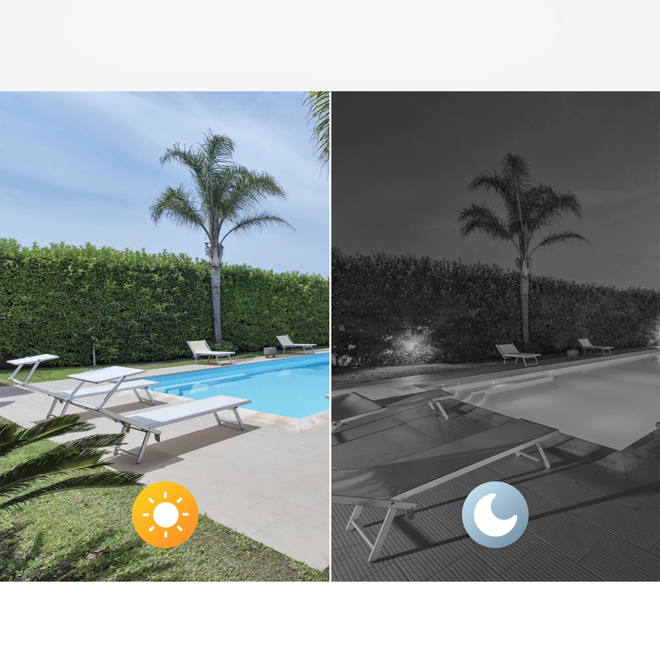 Teren przy basenie z leżakami, w dzień i w nocy, z palmami i żywopłotem.