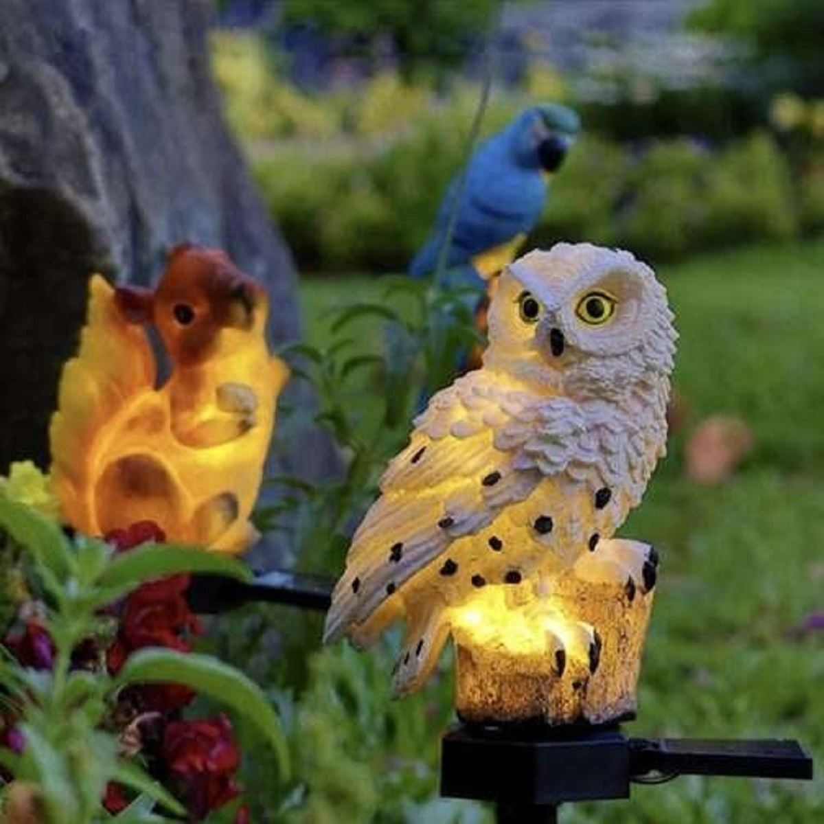 Decoración de jardín iluminada: búho, ardilla y loro con luz nocturna.