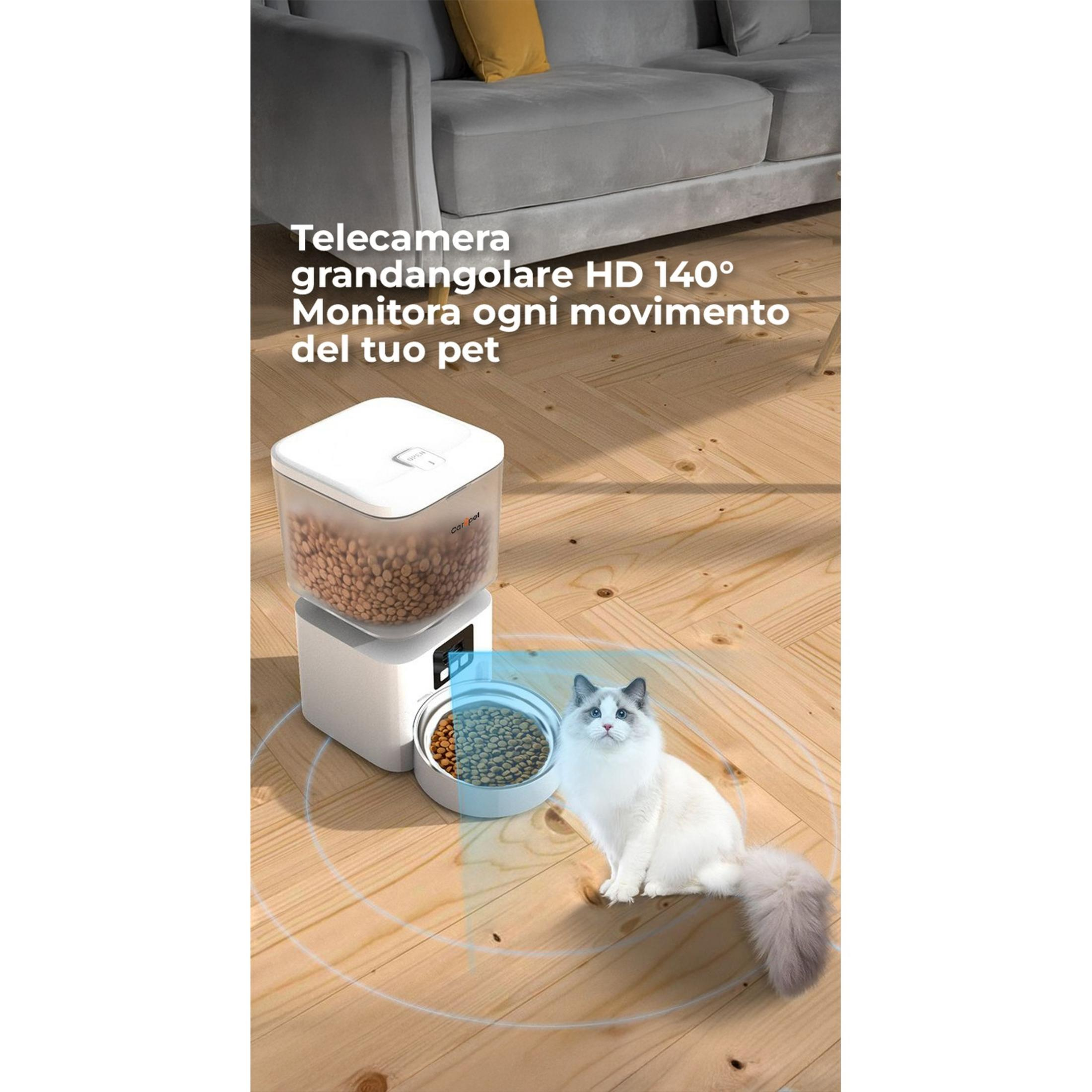 Un gato blanco se sienta junto a un comedero para mascotas con croquetas.