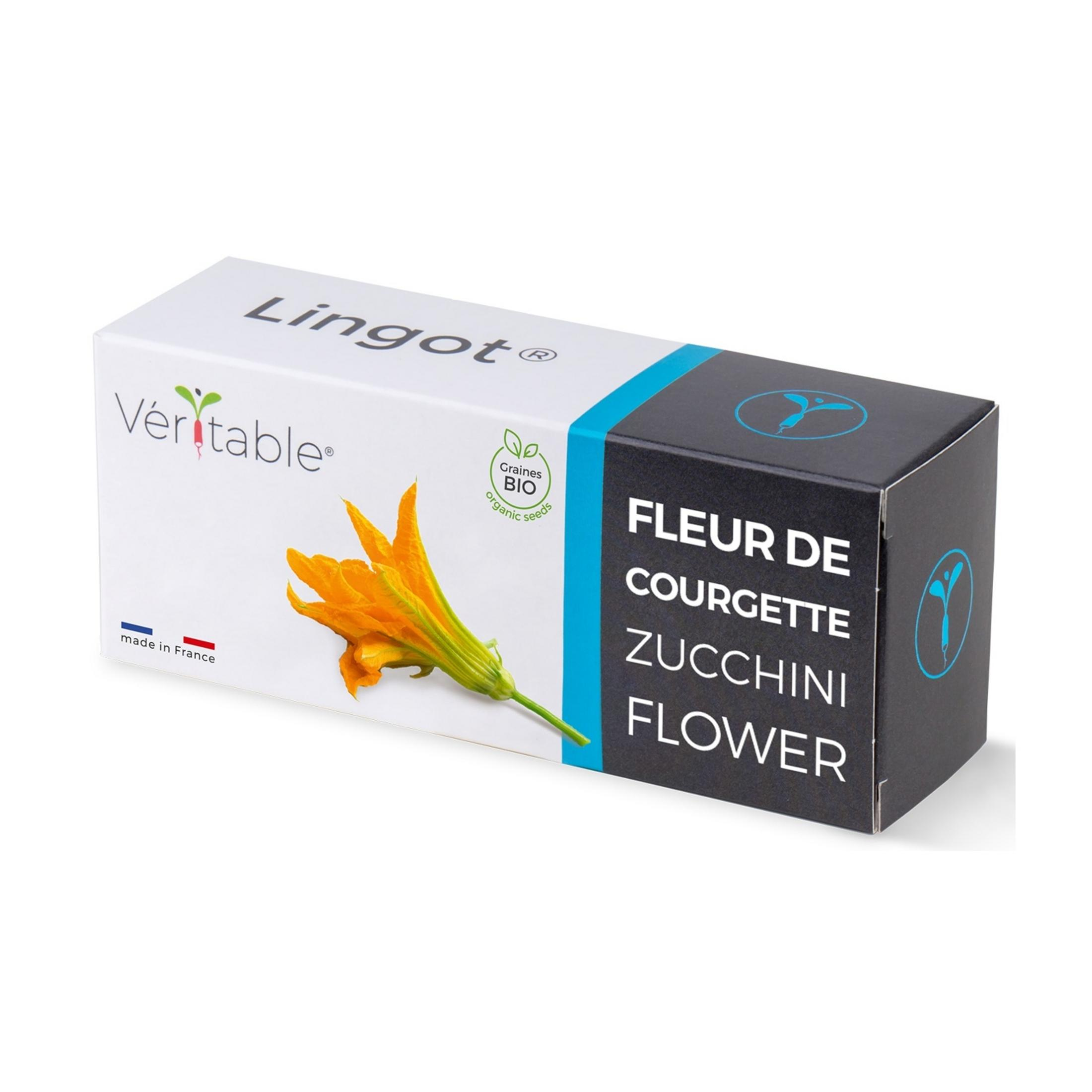Scatola di semi di fiori di zucchina con immagine di un fiore, Made in France.