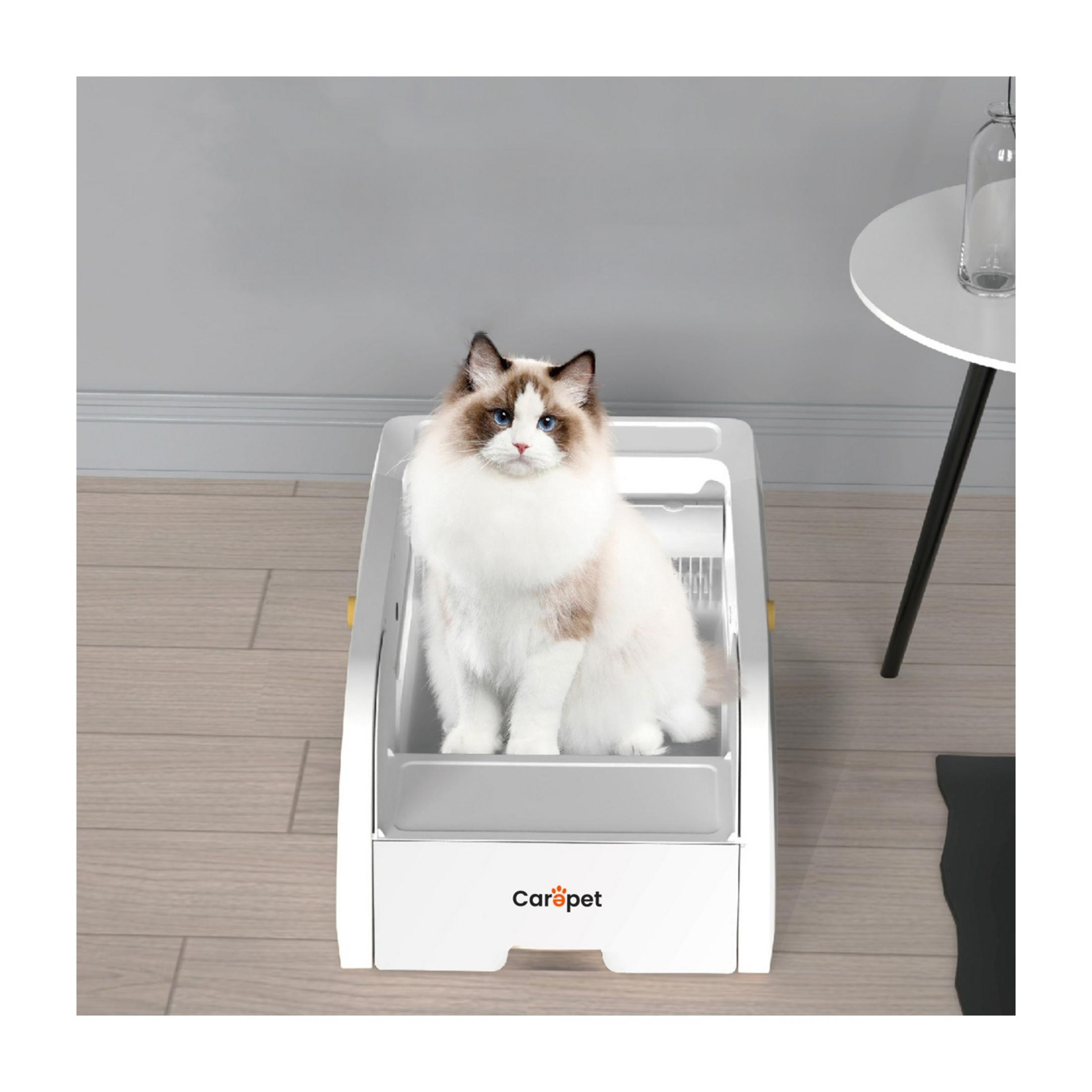 Un gatto seduto in una lettiera bianca su un pavimento di legno.