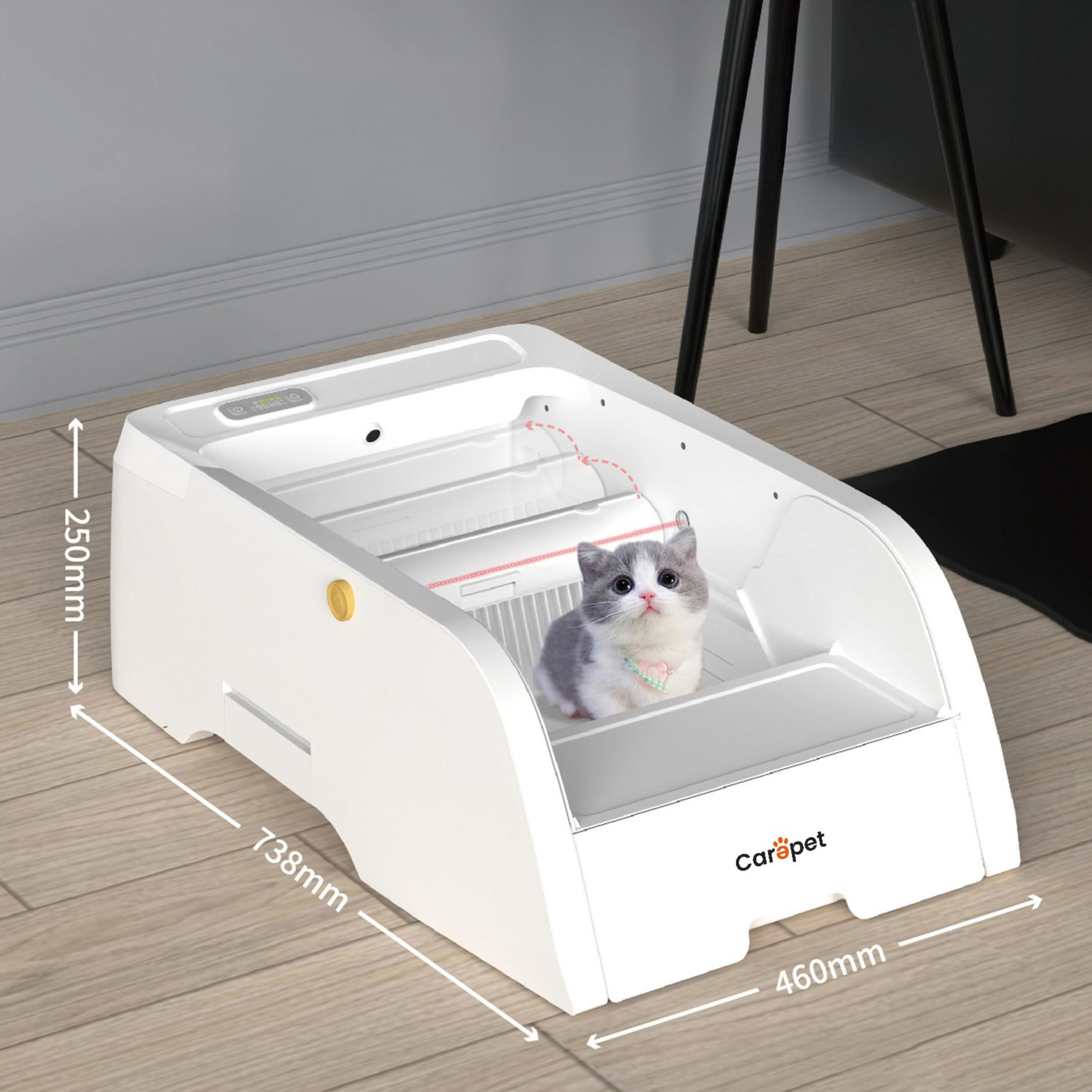 Un soffice gattino seduto in una lettiera bianca con dimensioni.