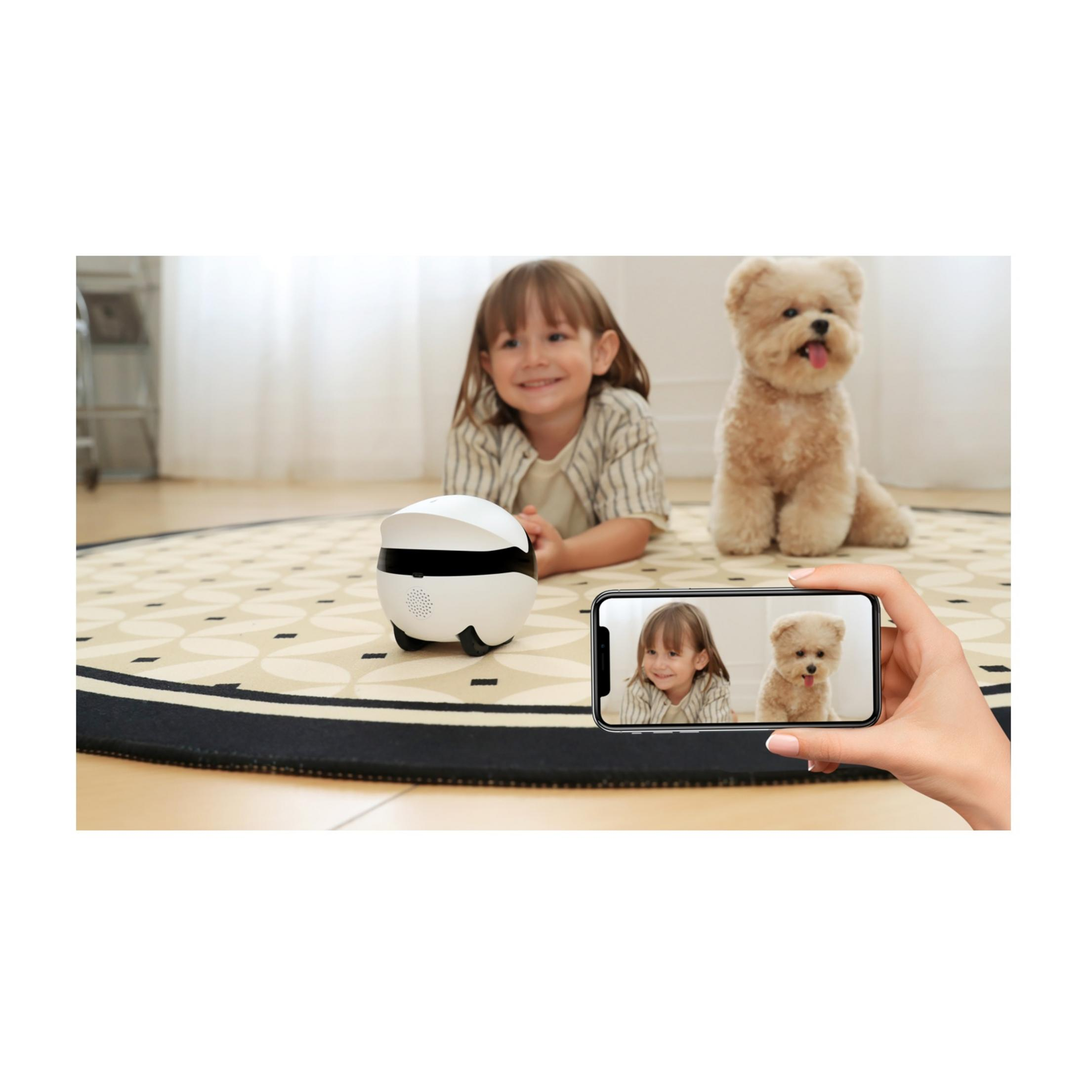 Ein Mädchen und ein Hund liegen auf einem Teppich, ein Roboter daneben.
